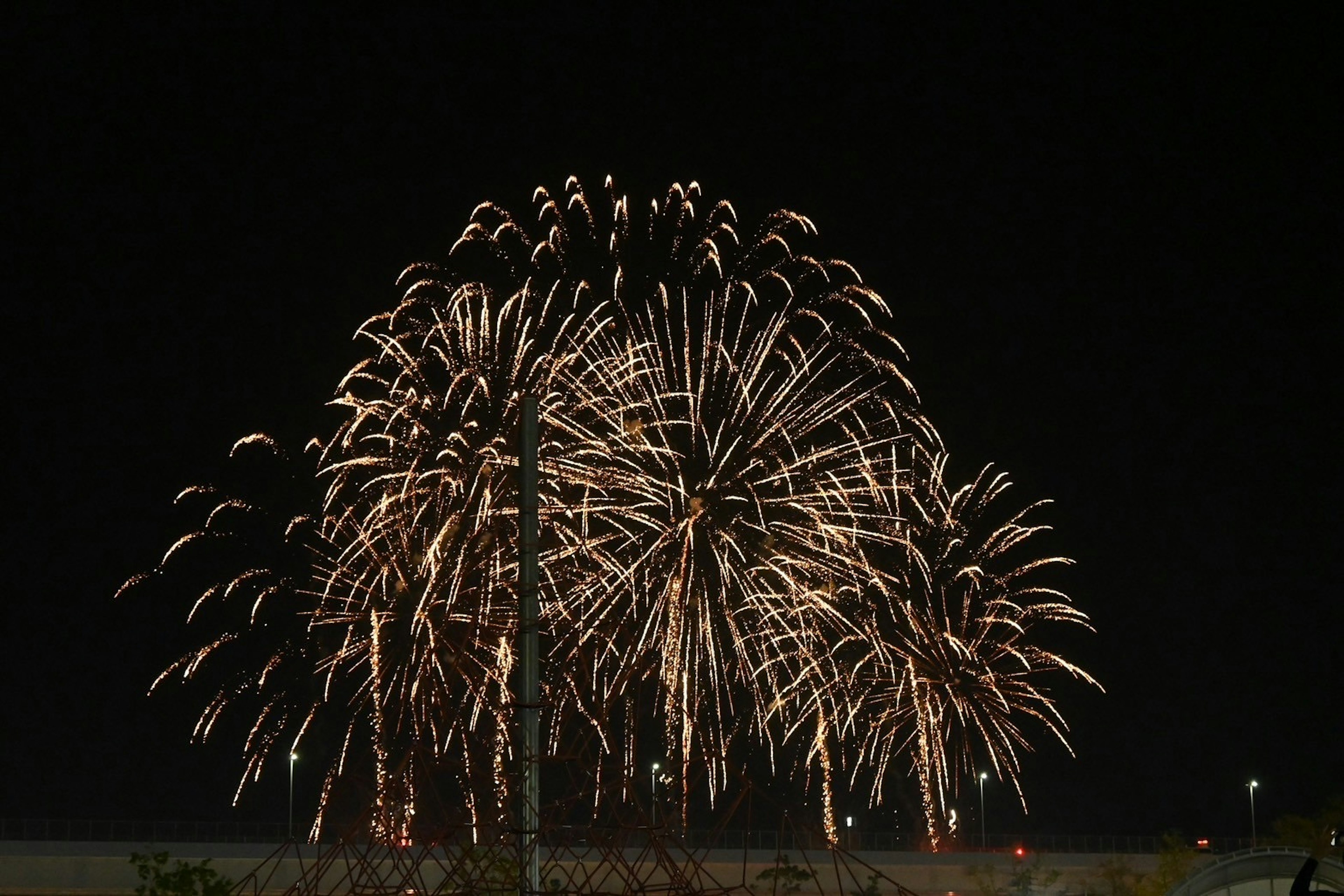 夜空を彩る花火の大輪が広がる