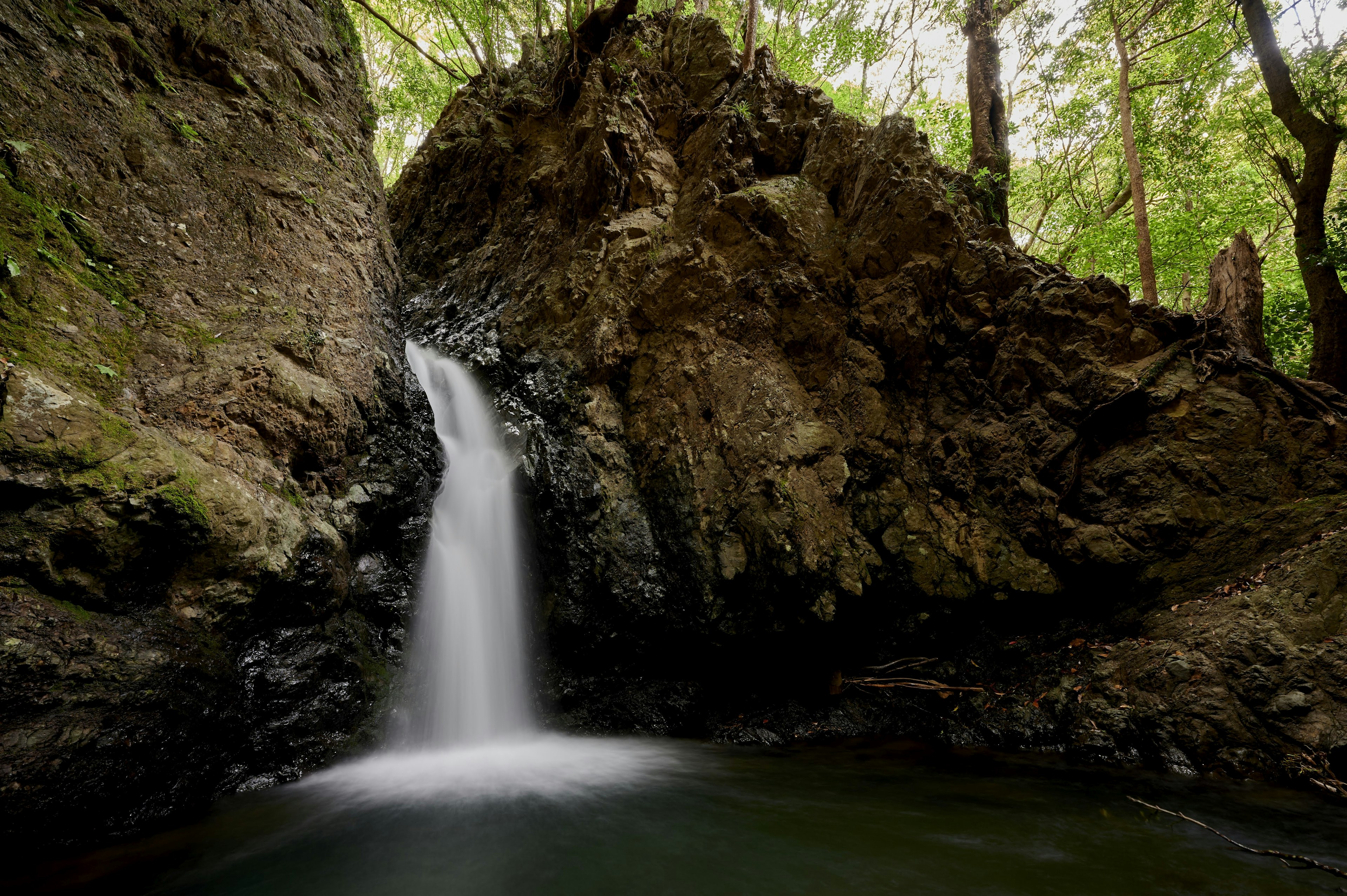 Small waterfall surrounded by green trees and rocky terrain