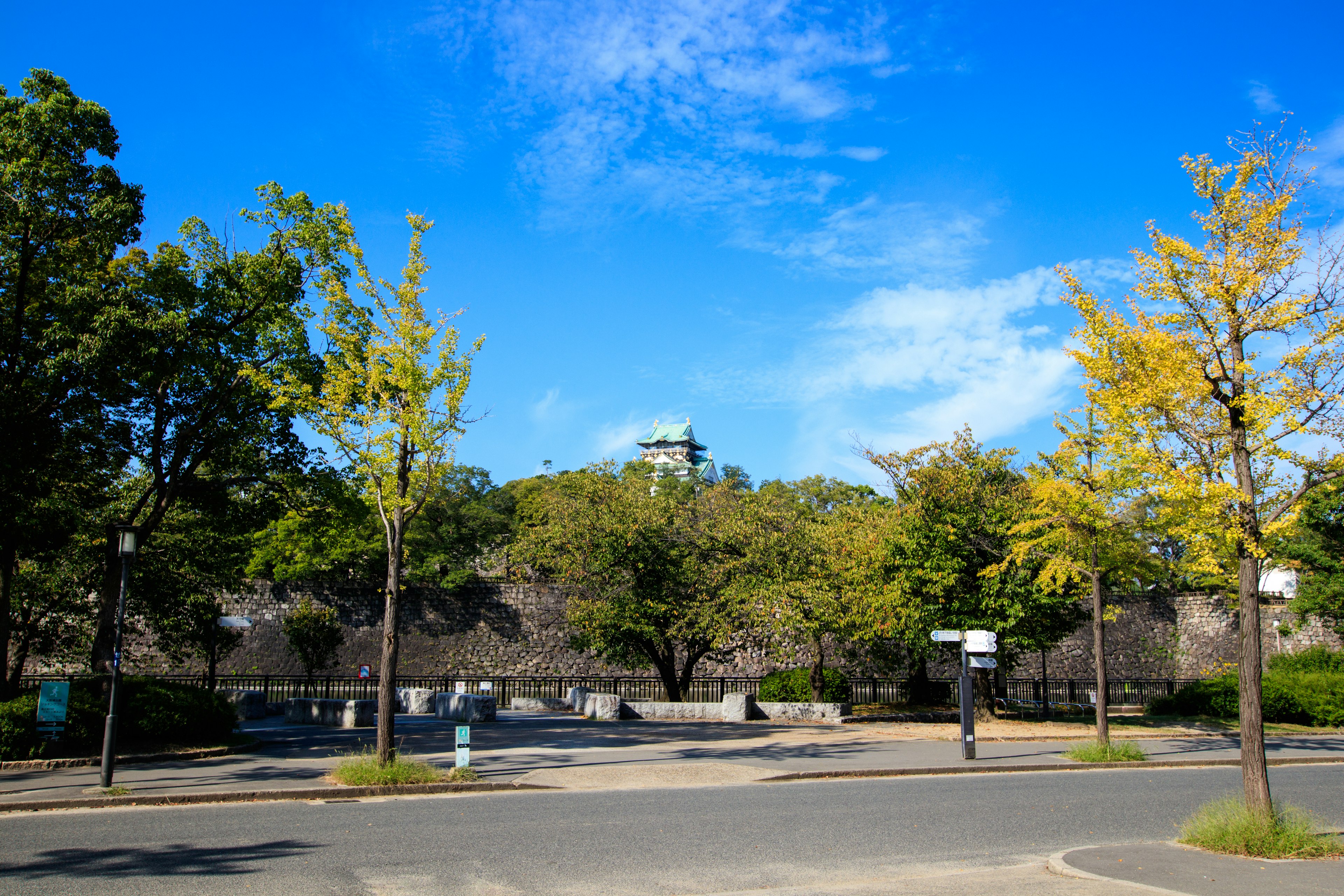 藍天下的公園景象，綠色和黃色的樹木