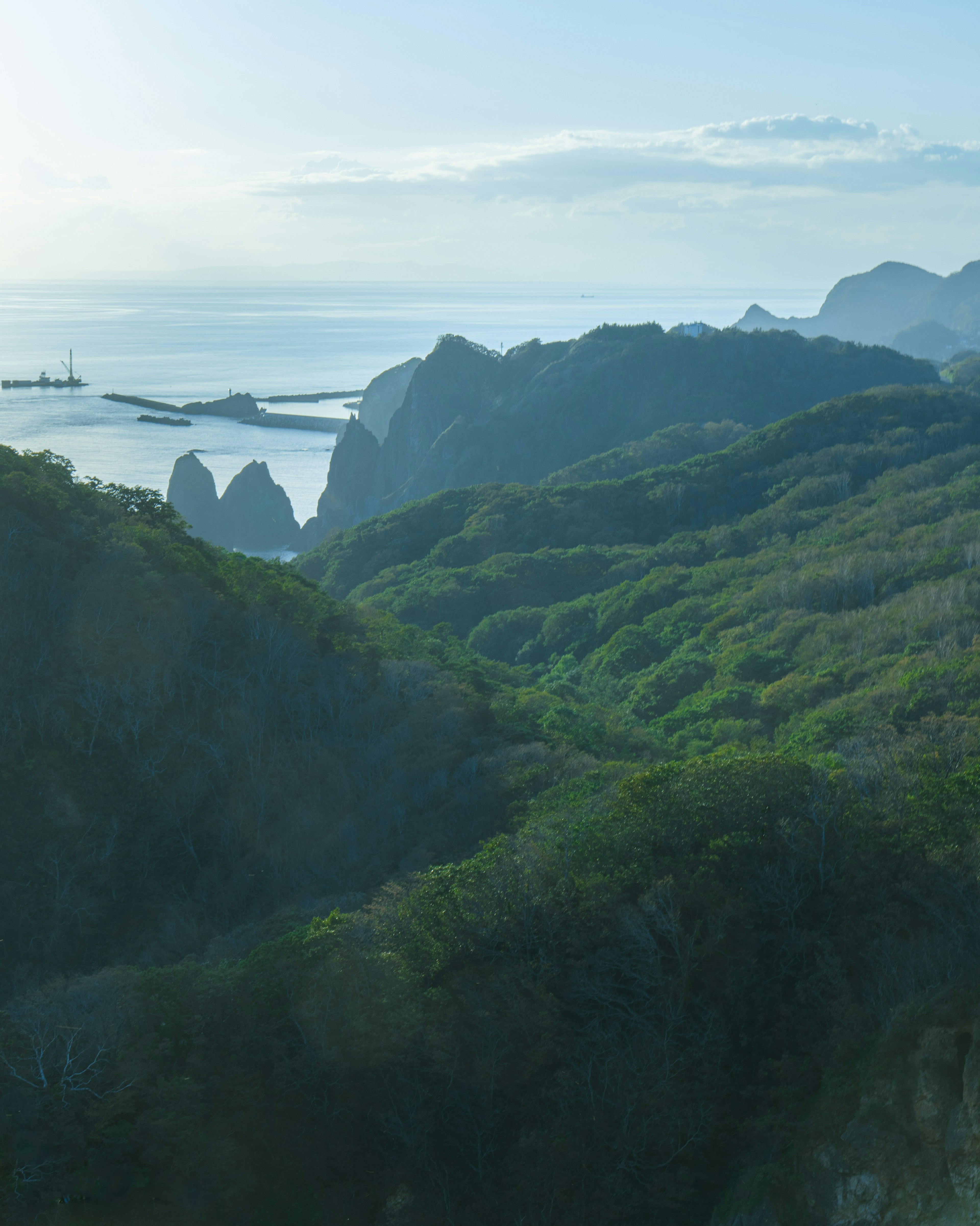 青い海と緑の山々の美しい風景