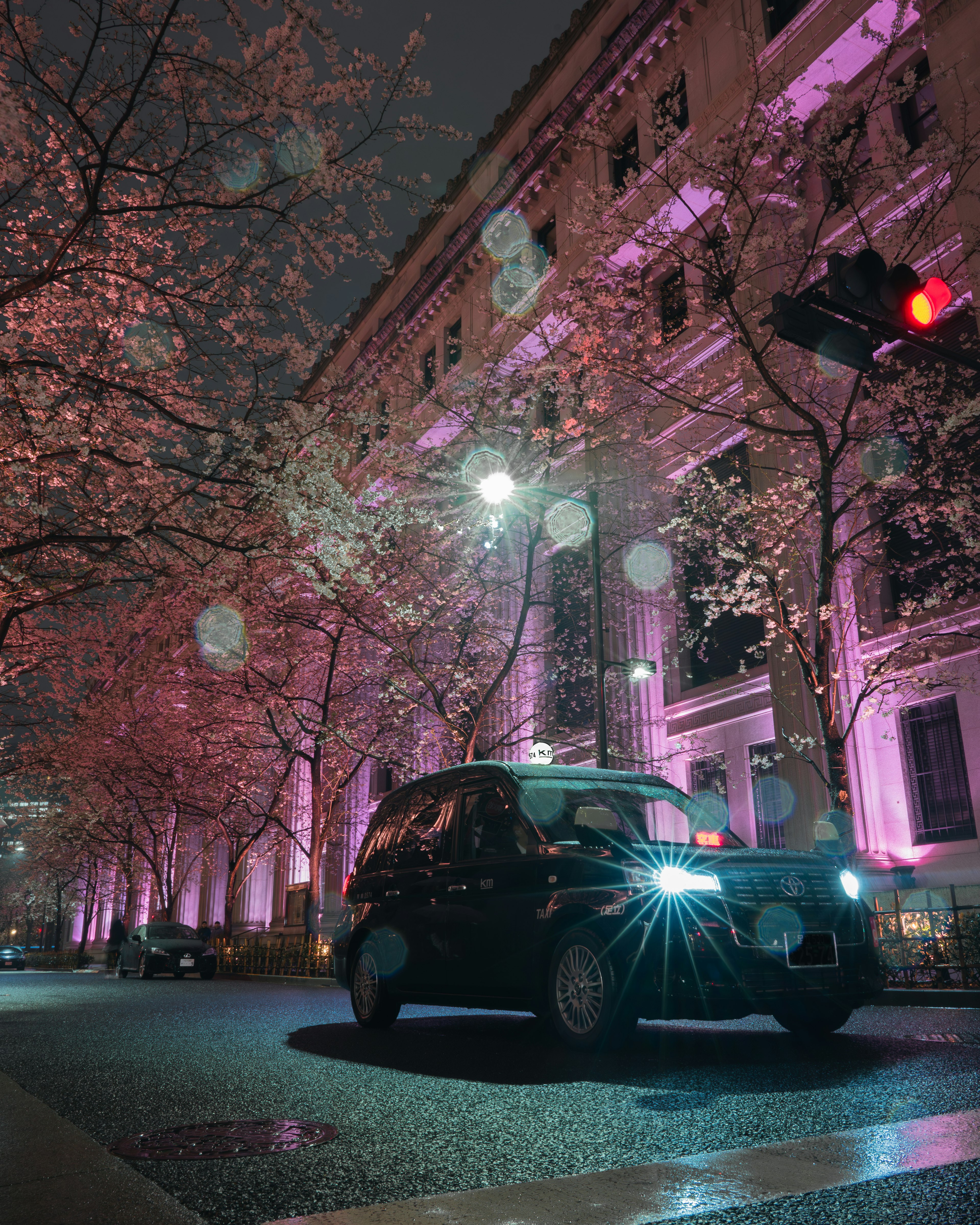 Taksi hitam melaju di sepanjang jalan yang dipenuhi pohon sakura di malam hari dengan pencahayaan yang cerah