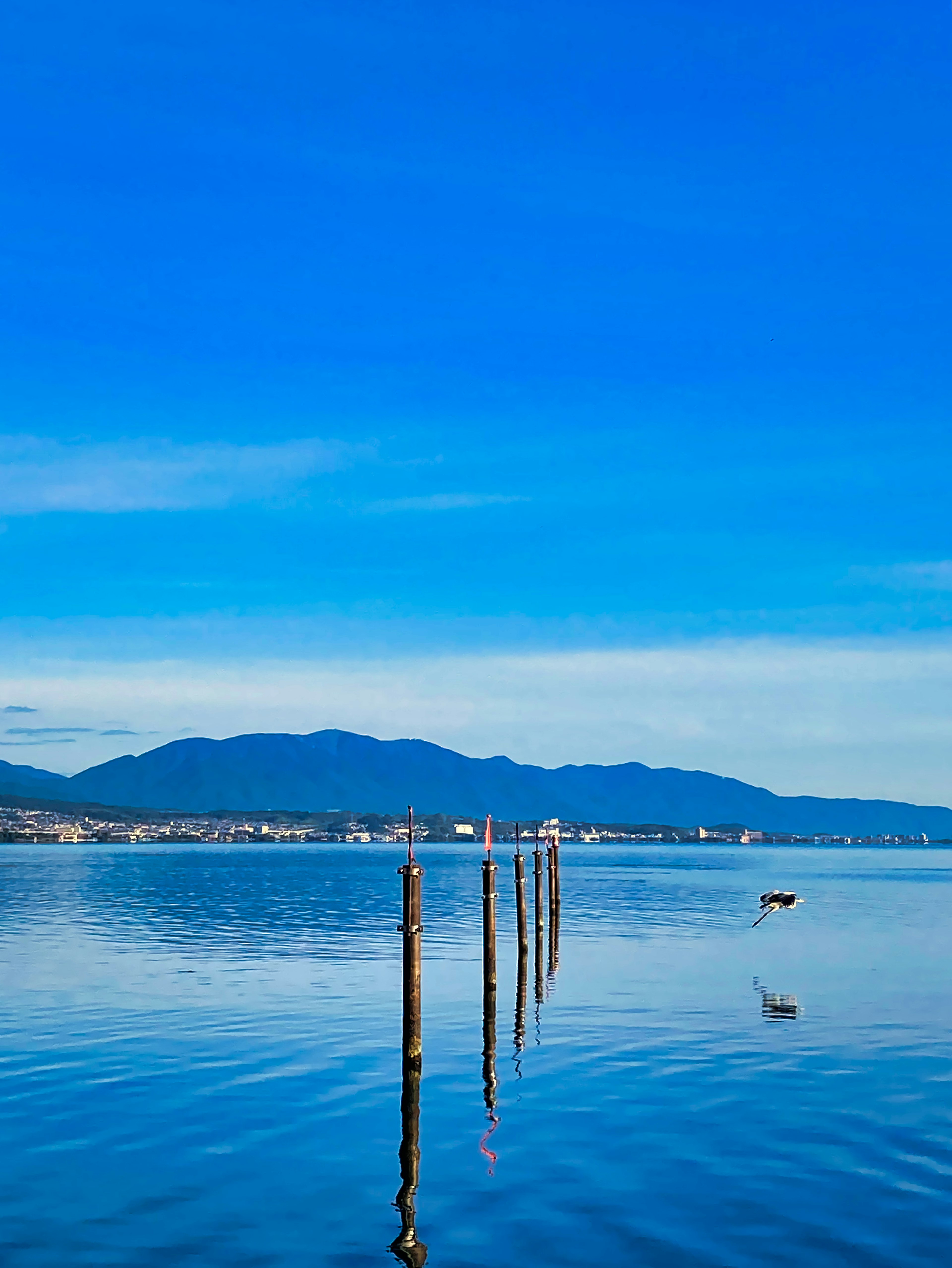 A row of wooden posts in calm water under a clear blue sky