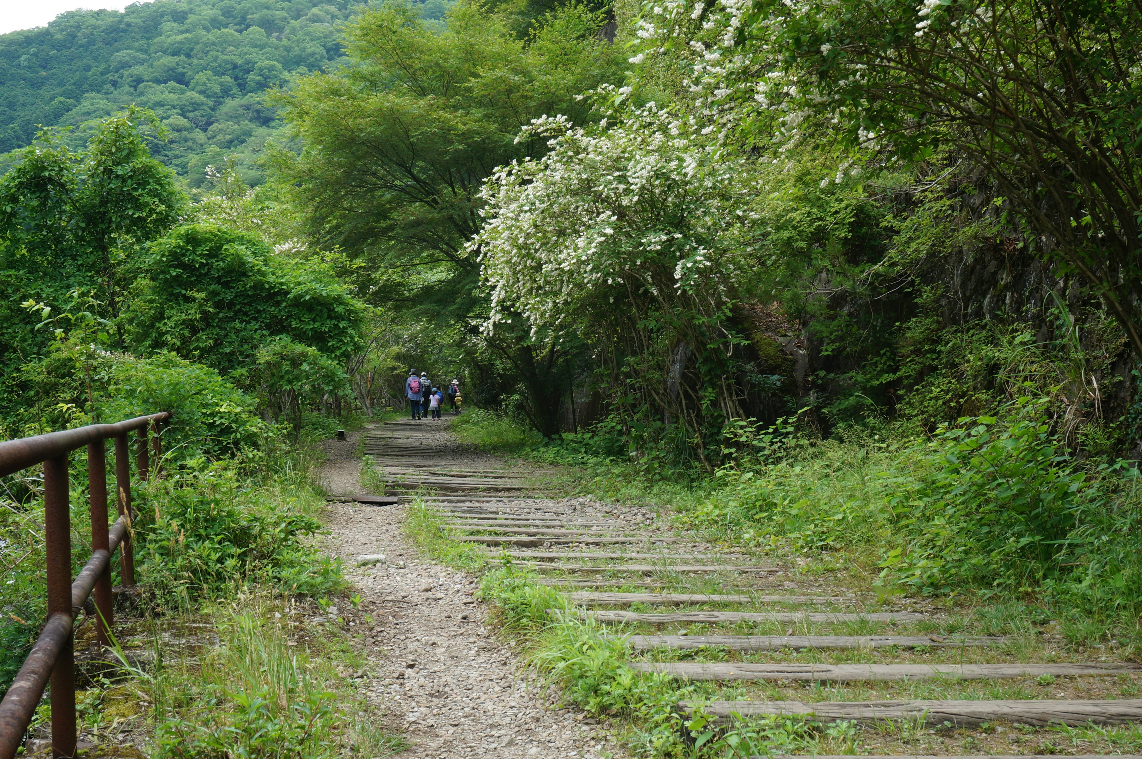 Ein malerischer Weg gesäumt von üppigem Grün und blühenden Blumen