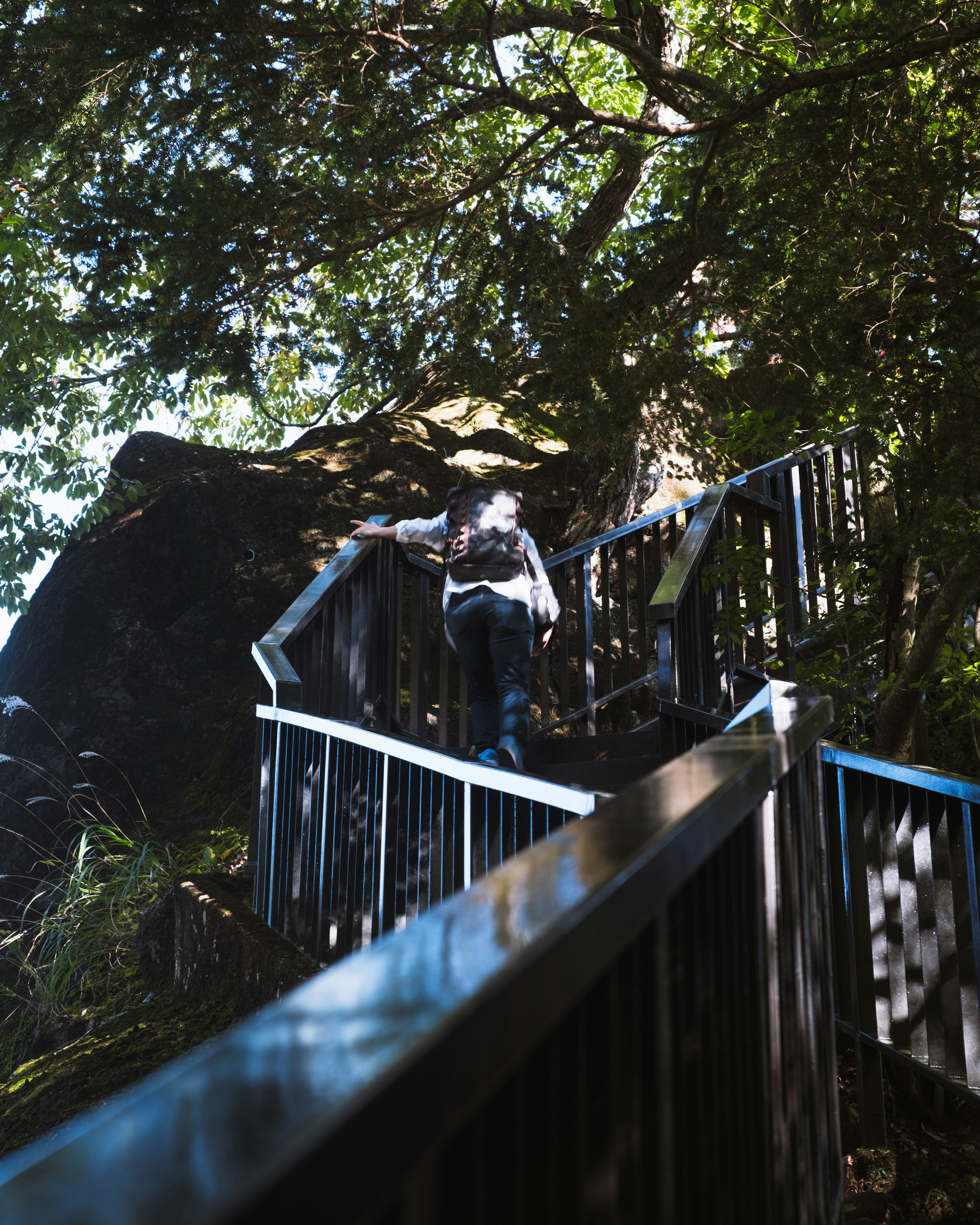 A person climbing stairs surrounded by trees