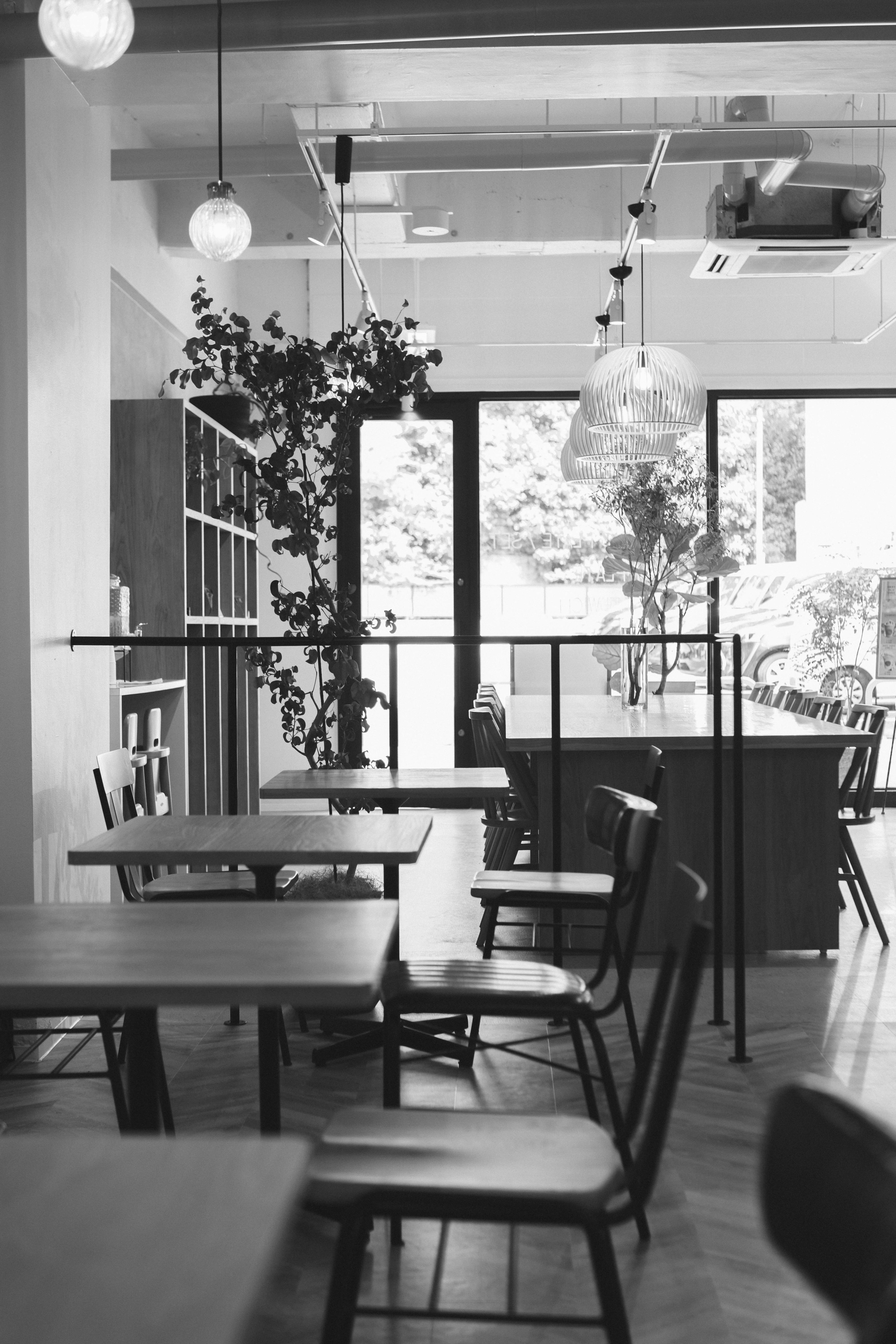 Interior kafe modern dengan furnitur hitam dan putih serta tanaman dan cahaya alami dari jendela besar