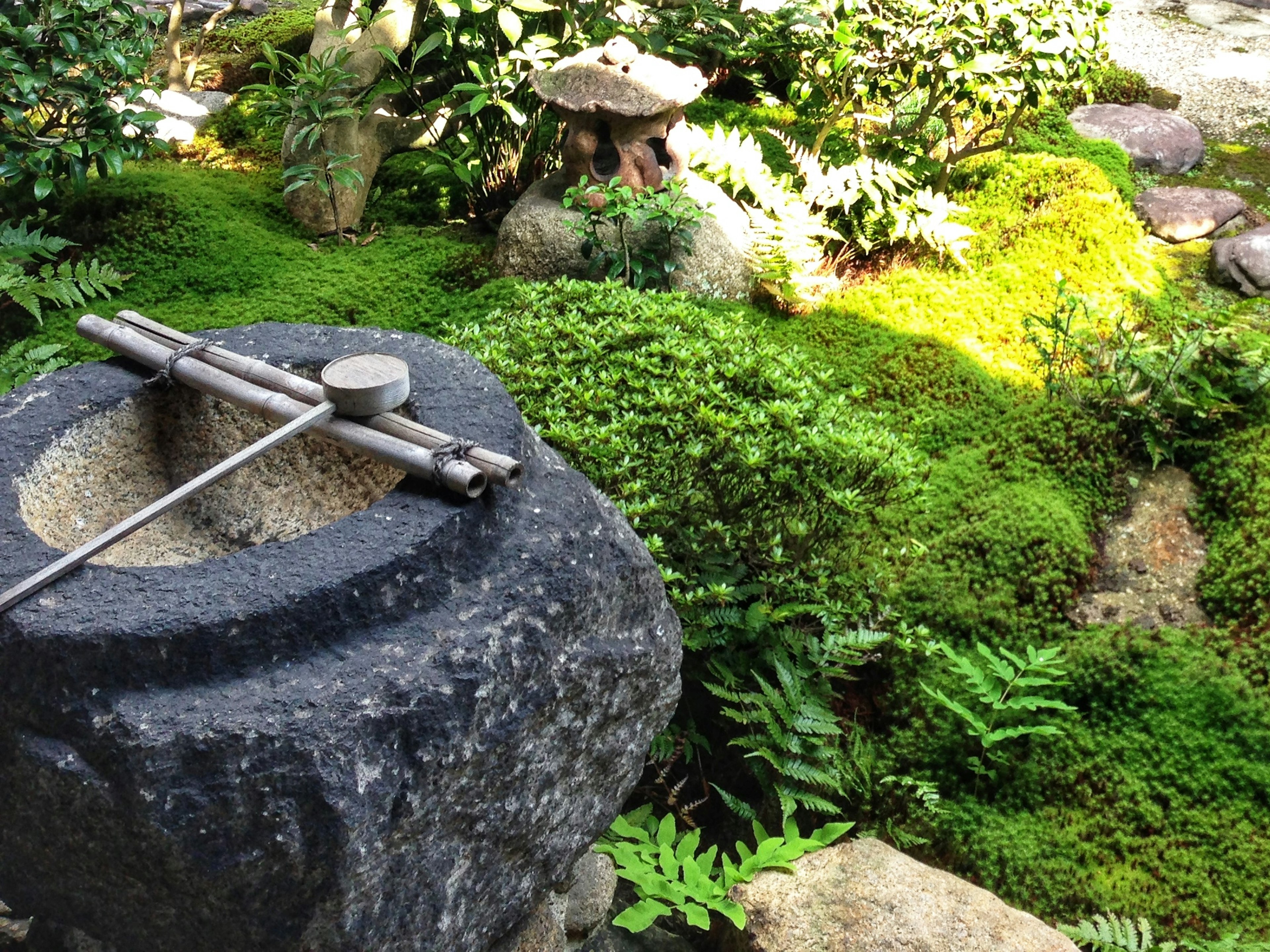 Belle scène de jardin japonais bassin d'eau en pierre avec mousse luxuriante