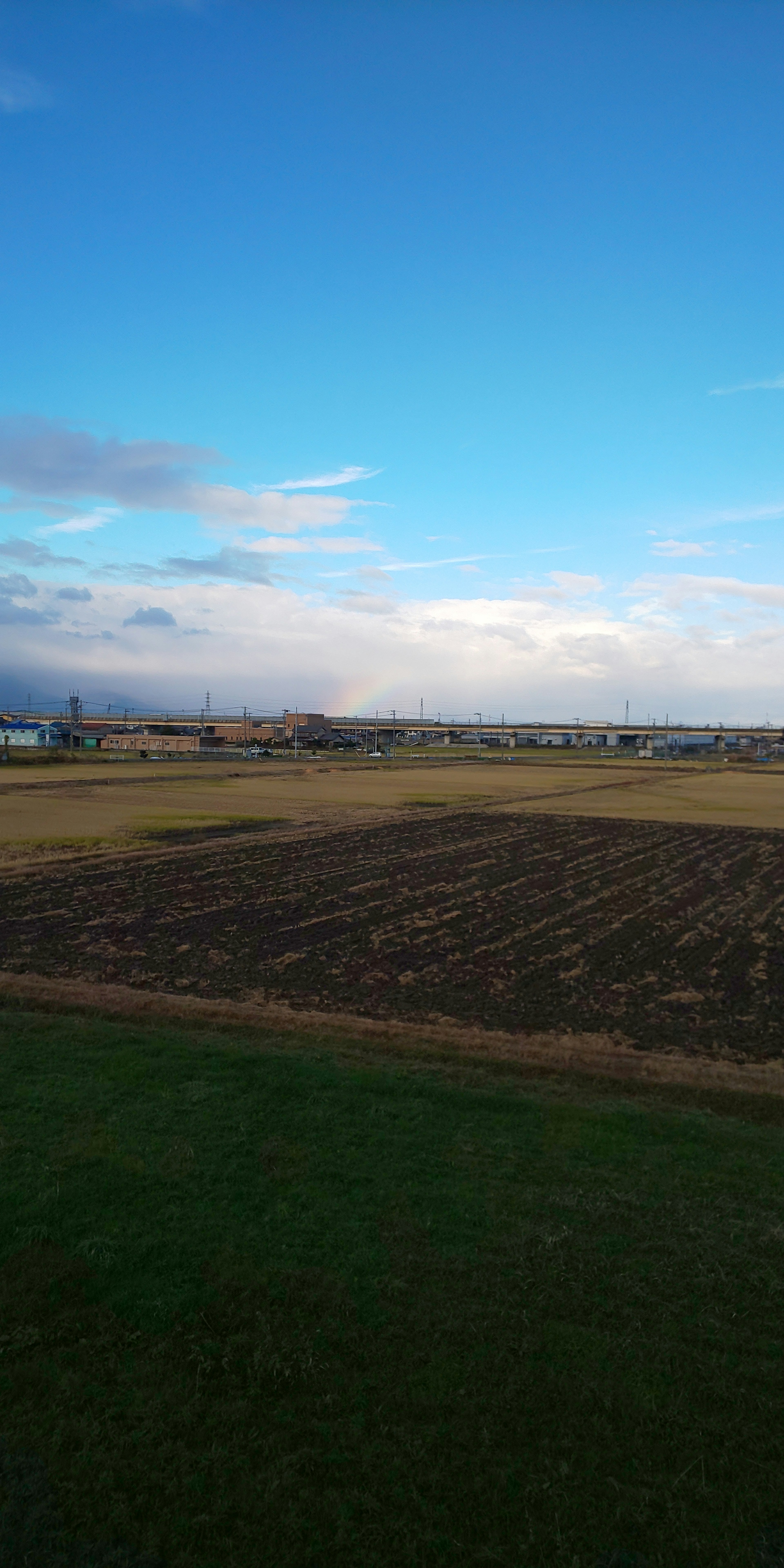 Expansive farmland under a blue sky with distant landscape