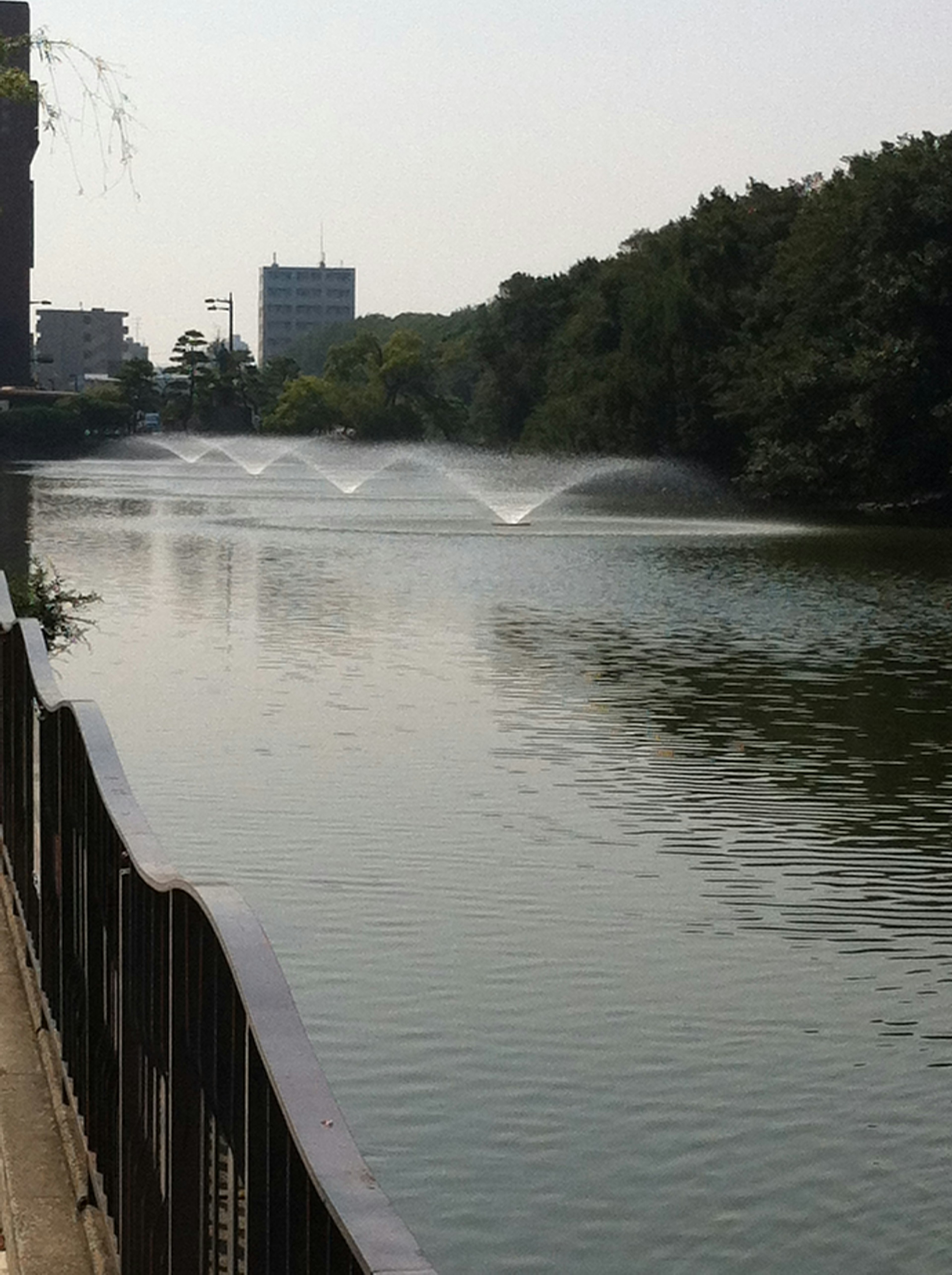 Ein ruhiger Fluss mit Springbrunnen und grünen Bäumen im Hintergrund von städtischen Gebäuden