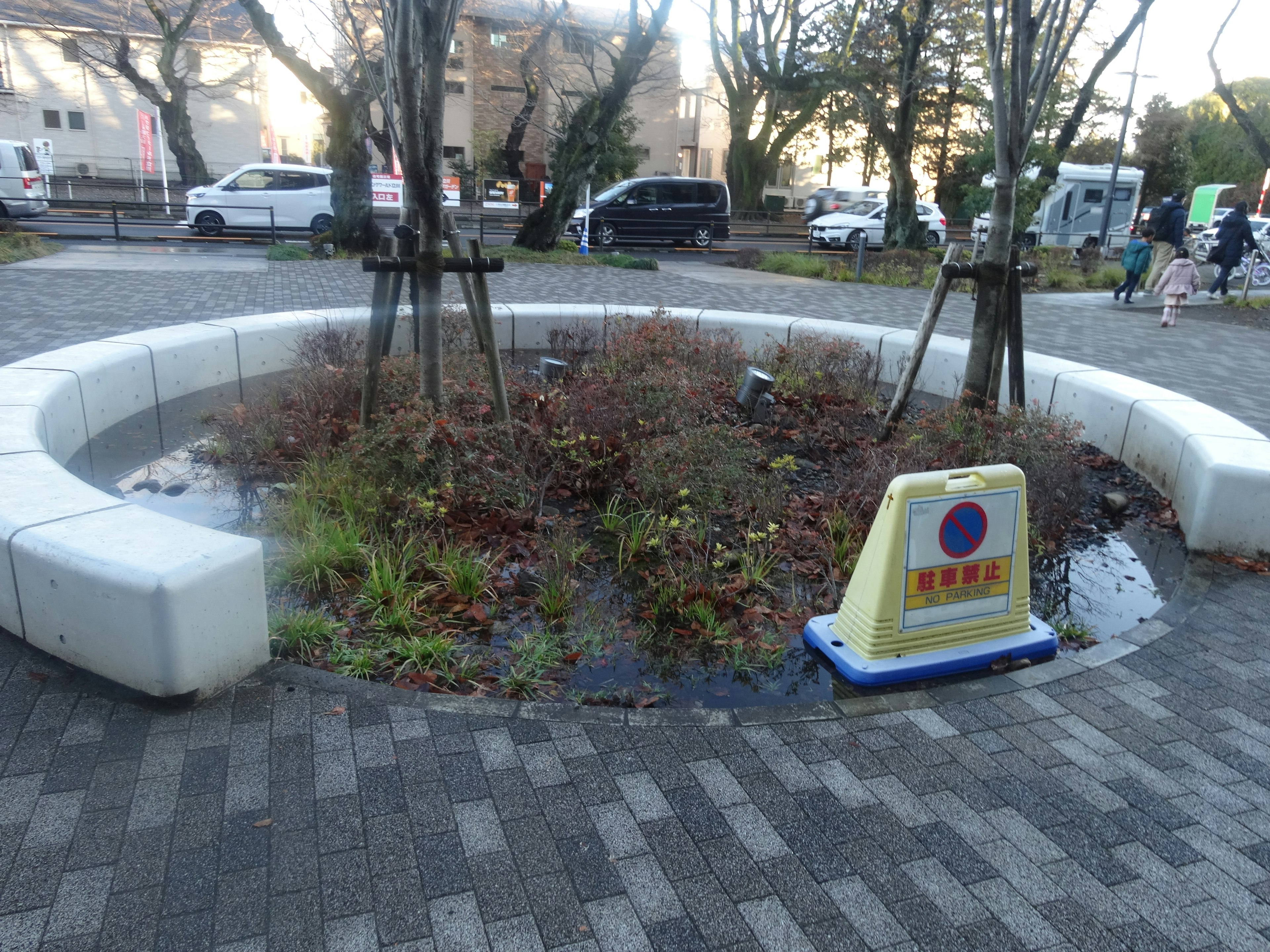 Parterre circulaire dans un parc avec des plantes et un chemin pavé environnant