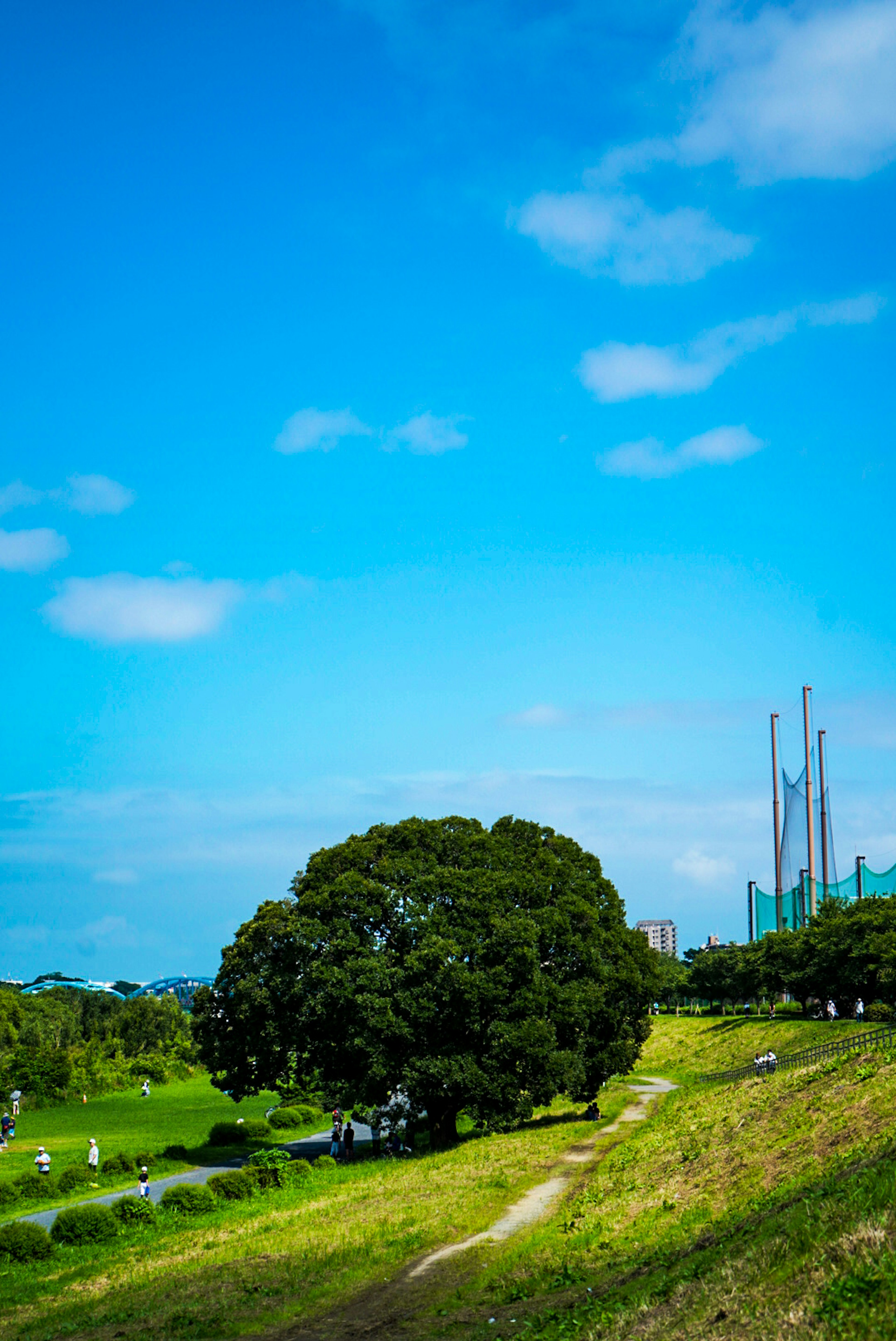 Pemandangan dengan pohon besar dan bukit hijau di bawah langit biru