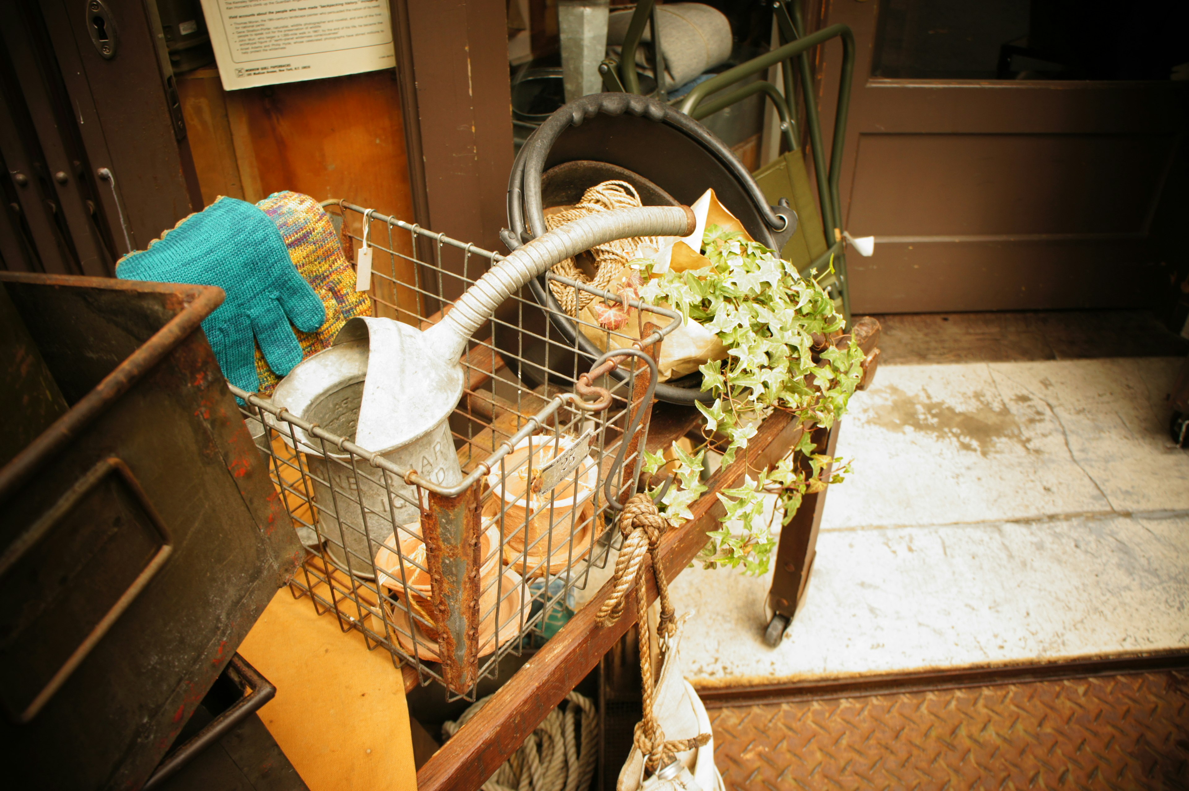 A watering can and ivy in a basket