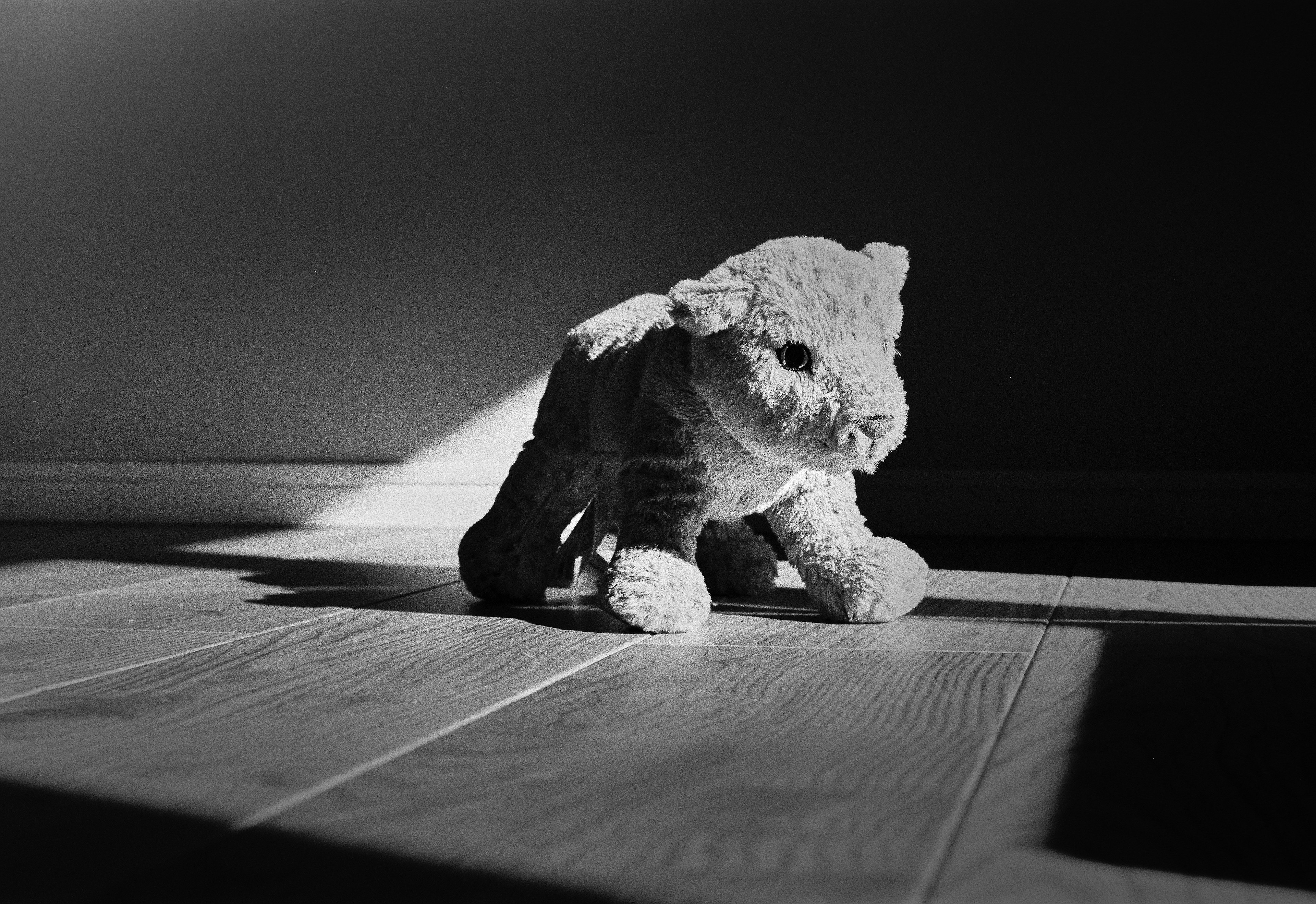 A gray plush toy dog sitting on wooden floor illuminated by soft light and shadows