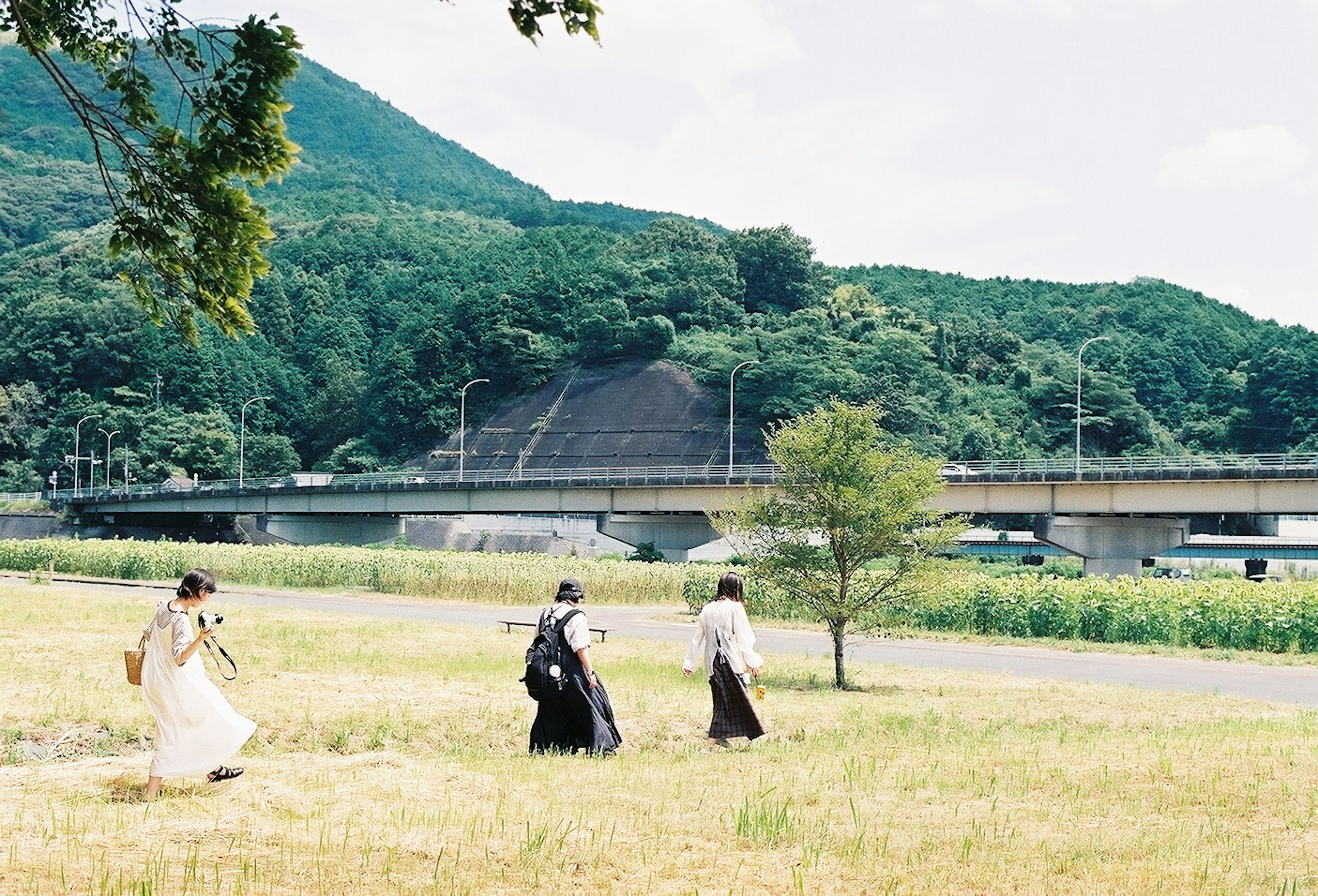 緑の山々を背景にした広い草原を歩く三人の人物