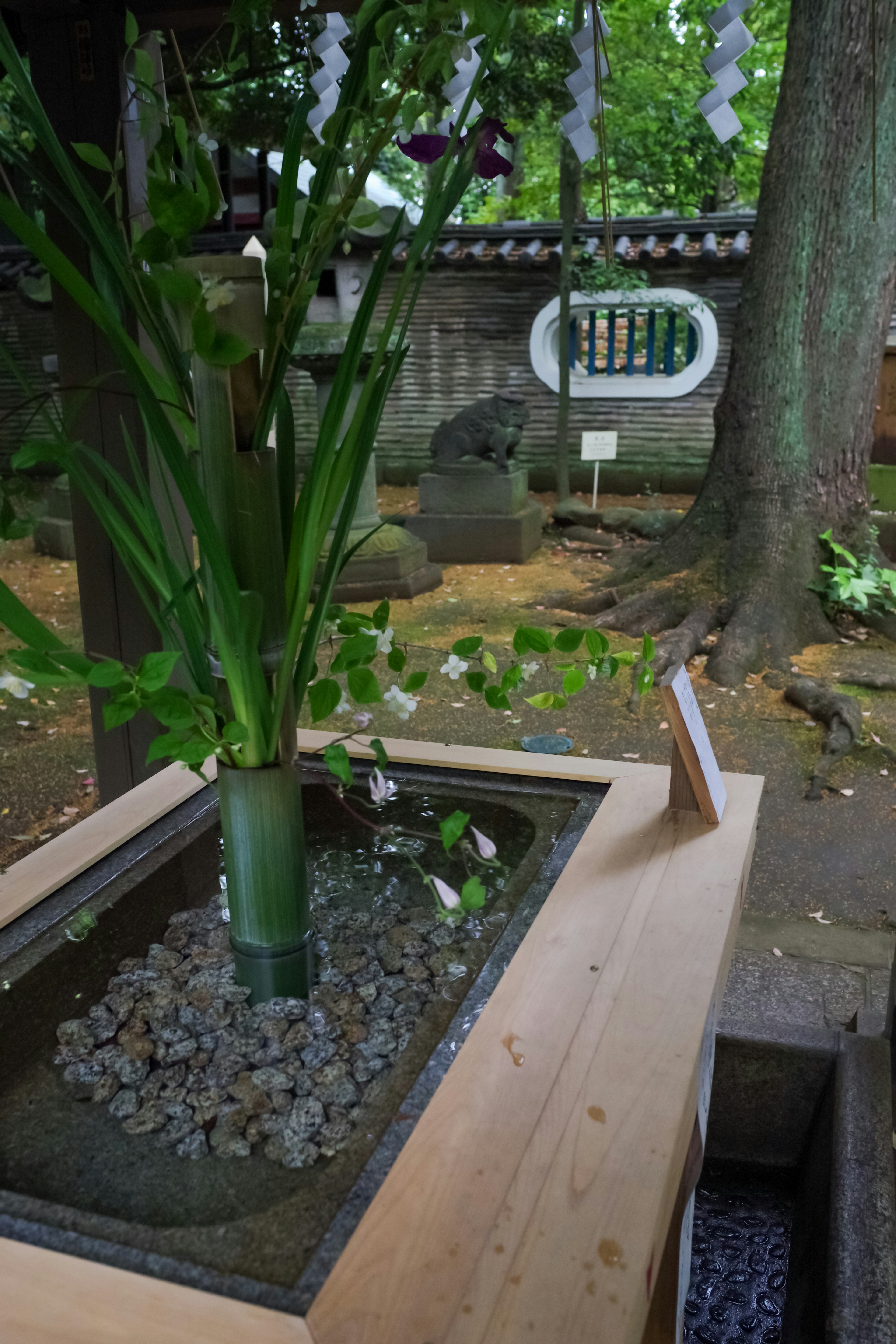 Jardin japonais avec un arrangement en bambou et des pierres décoratives