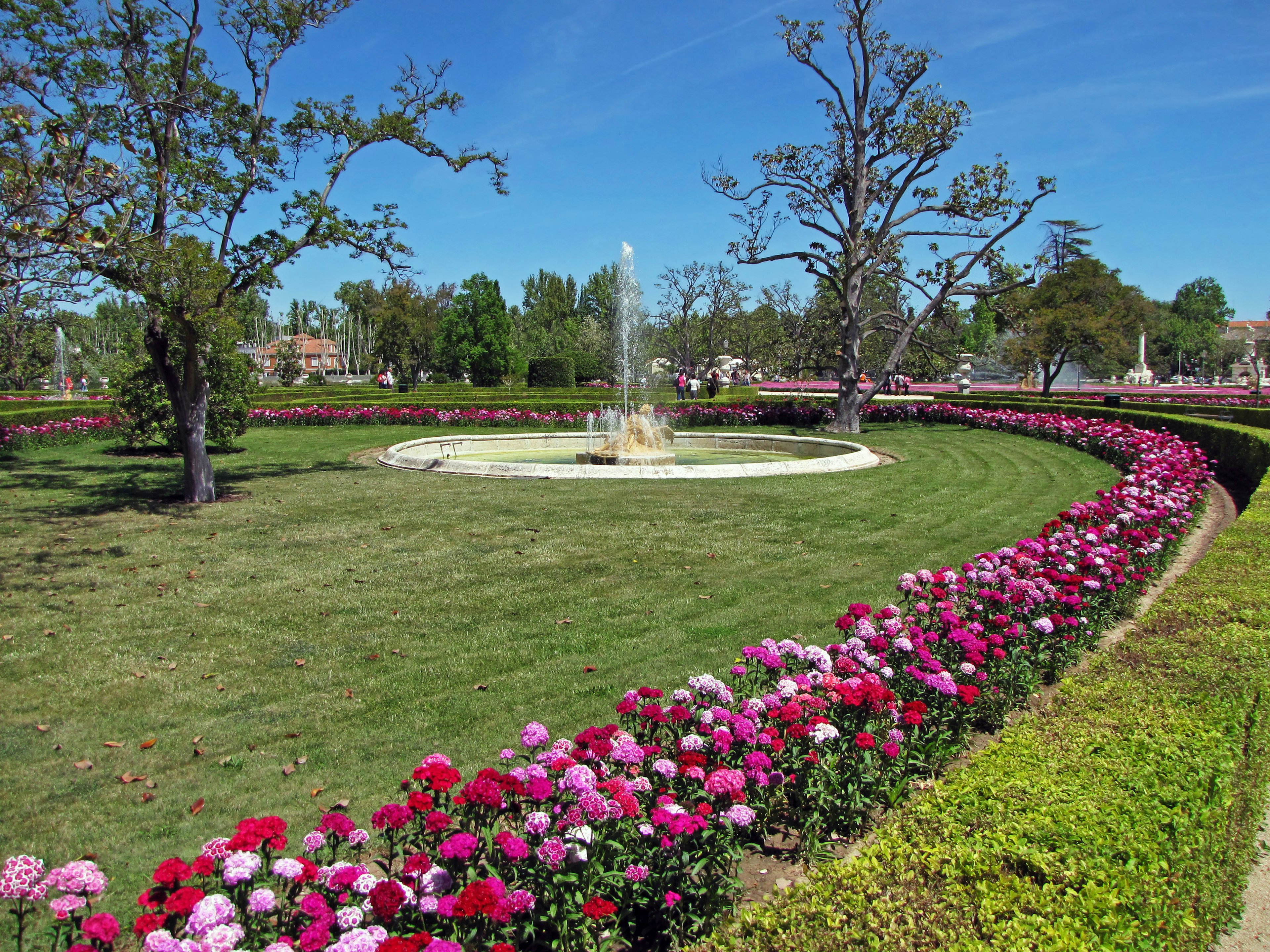 美しい公園の中の噴水と花のベッド