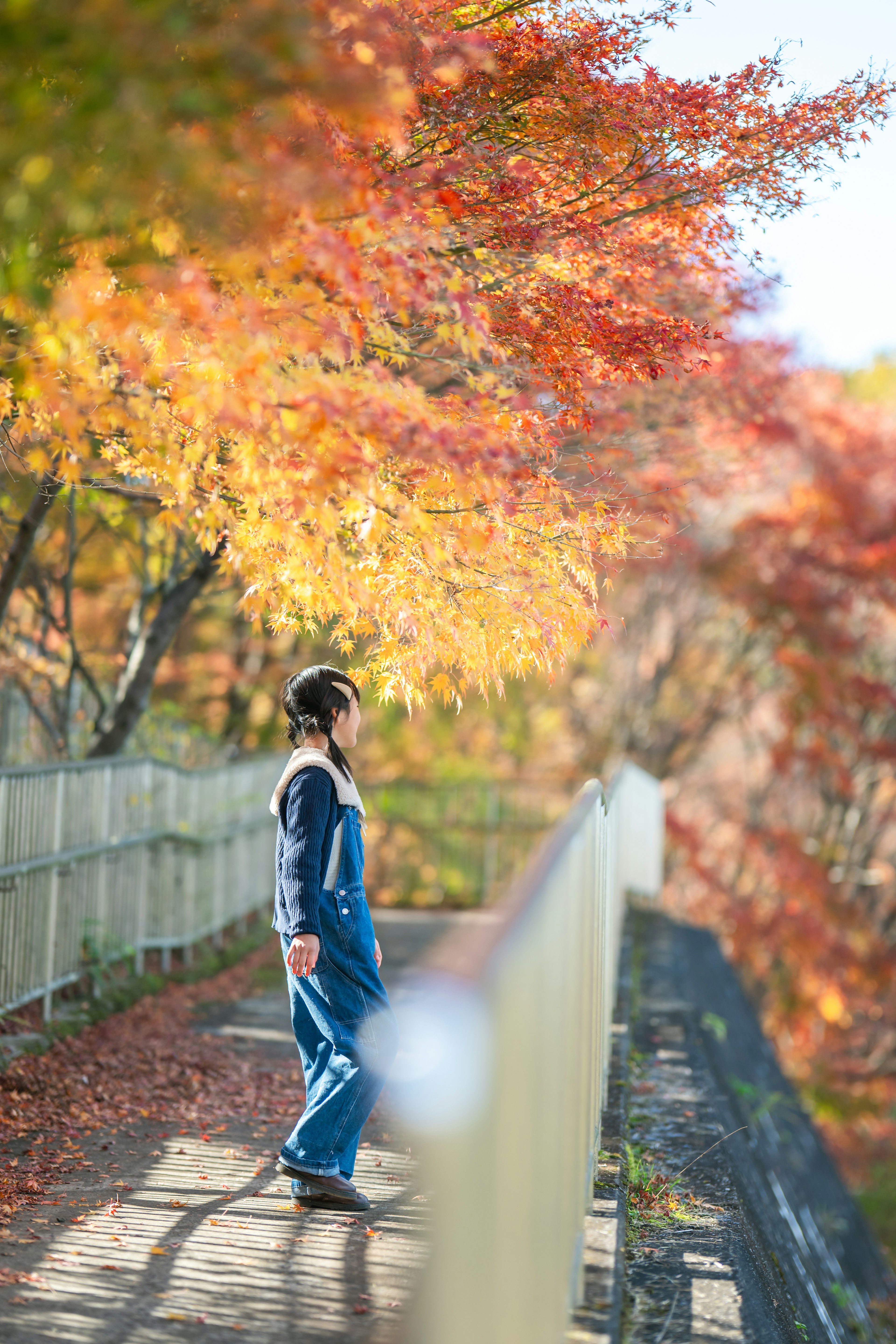 秋の紅葉の中で散歩する人