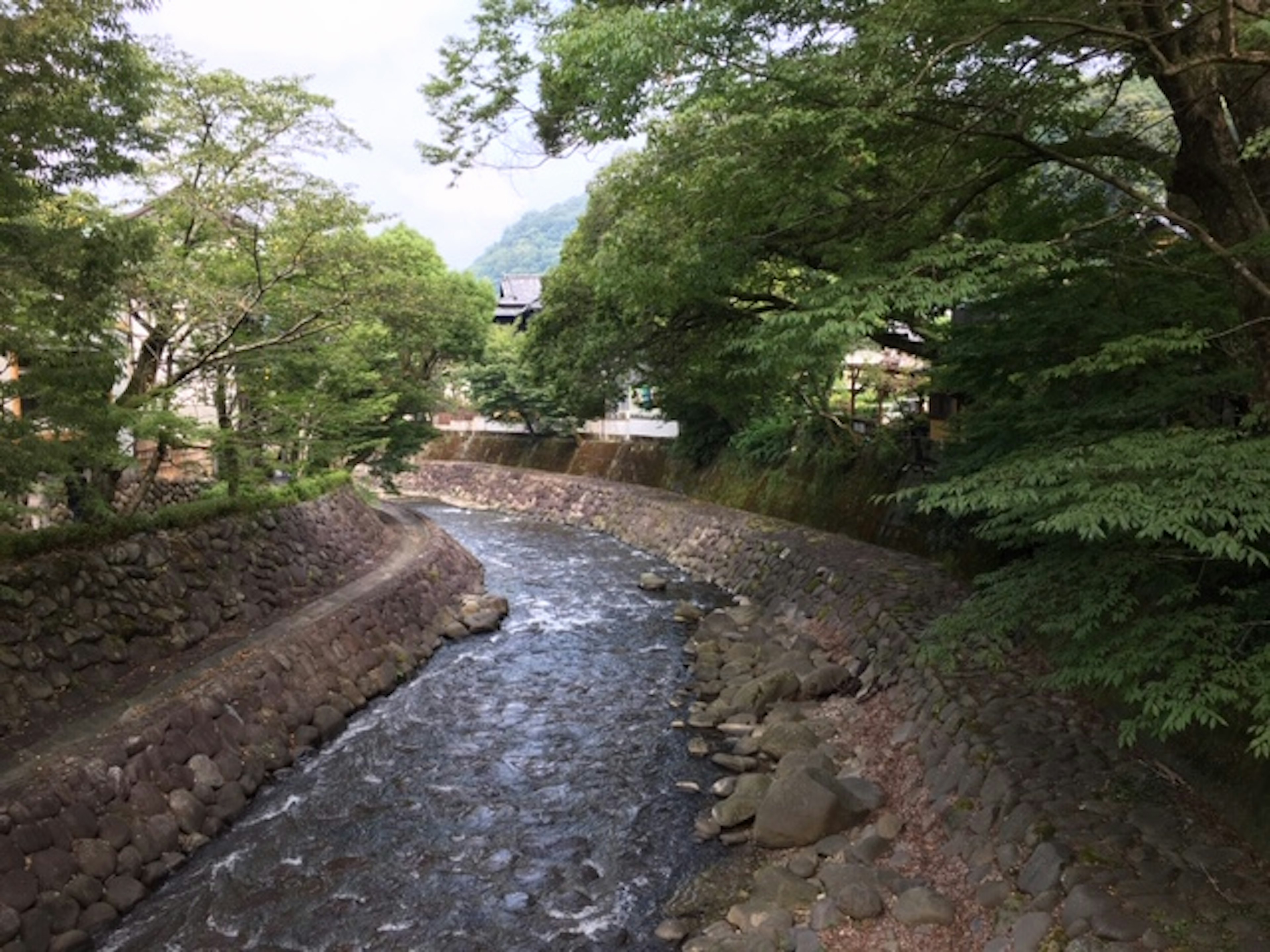 Serene river landscape surrounded by greenery