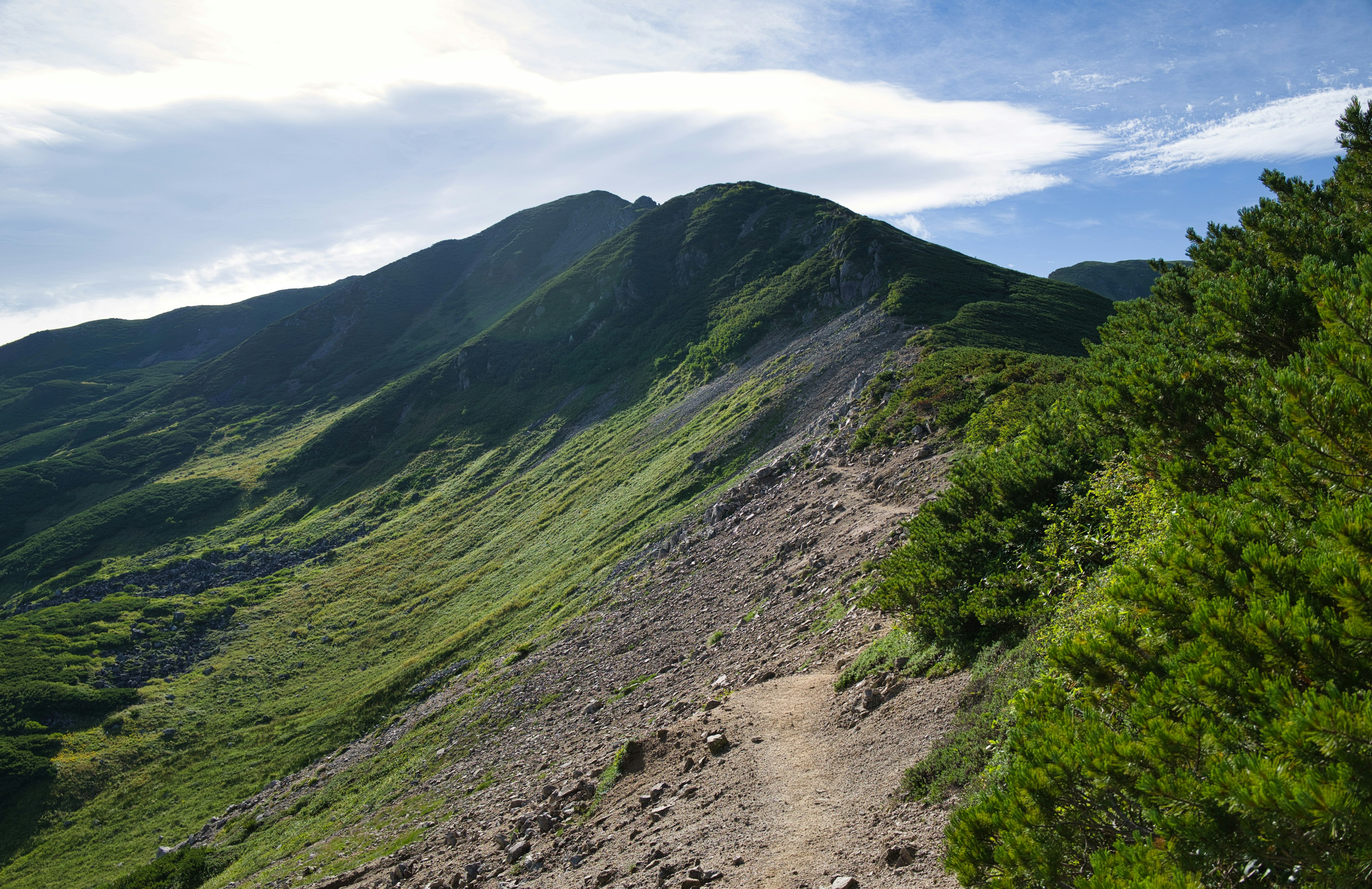 緑豊かな山の斜面と青空の景色