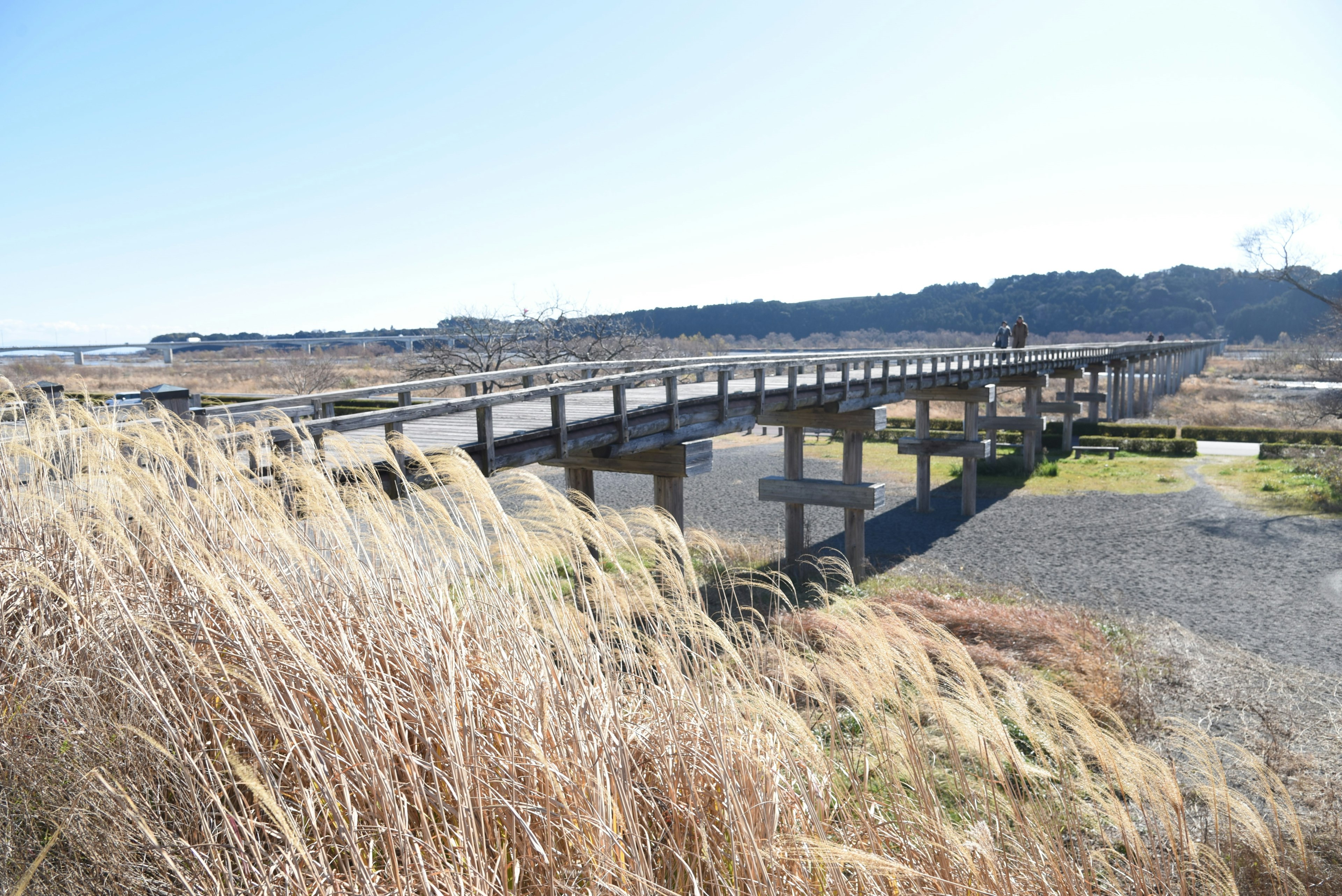 Wooden bridge extending over a landscape with blue sky