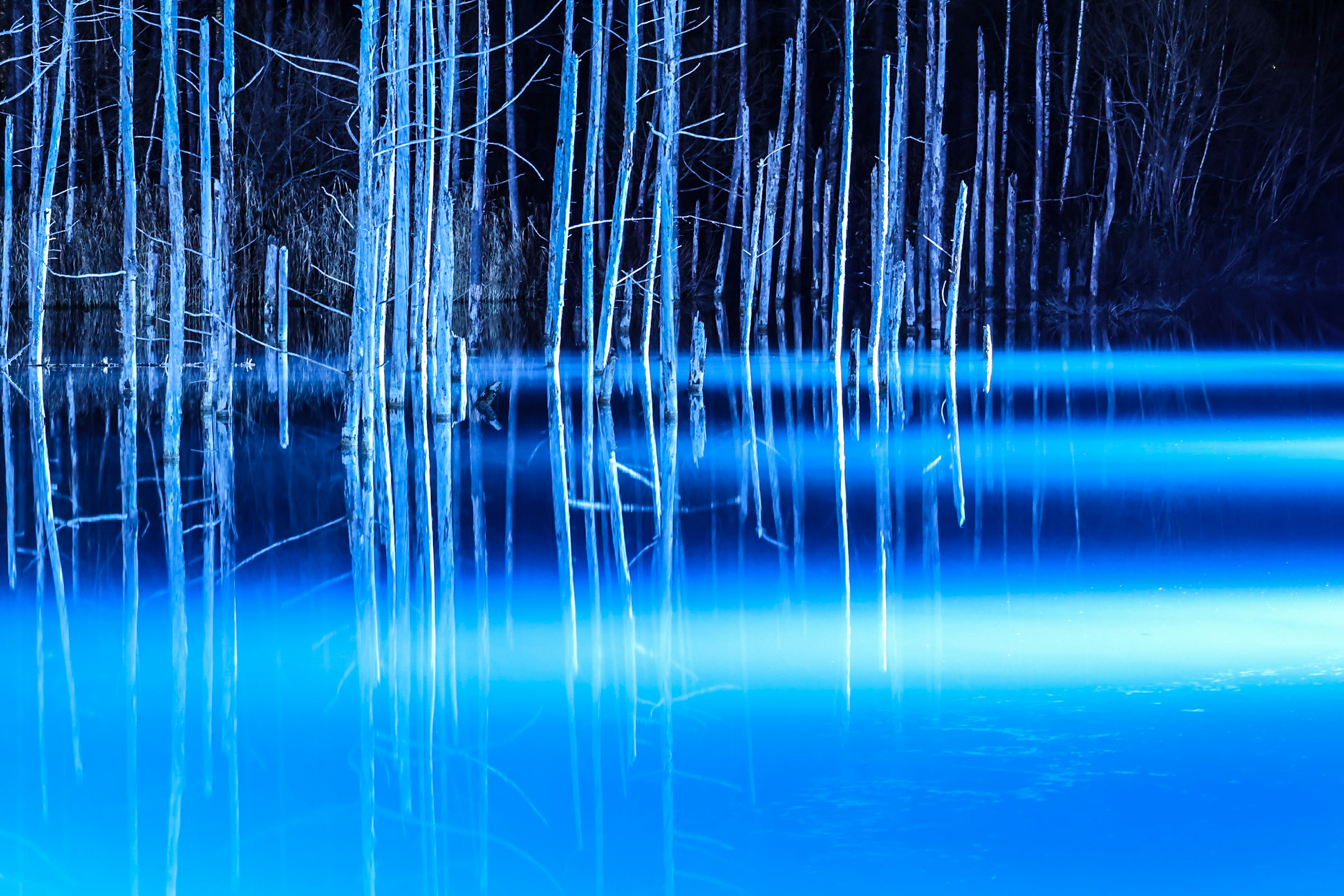 Un paesaggio surreale con tronchi d'albero slanciati riflessi in una superficie d'acqua blu vivace