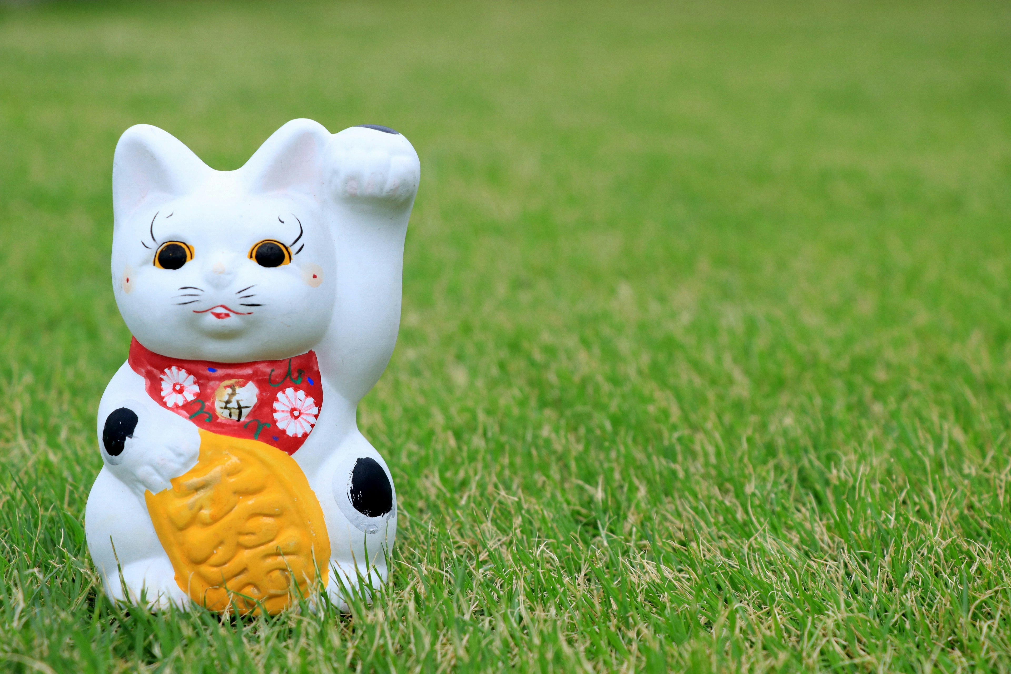 Une figurine de chat porte-bonheur blanche sur de l'herbe verte