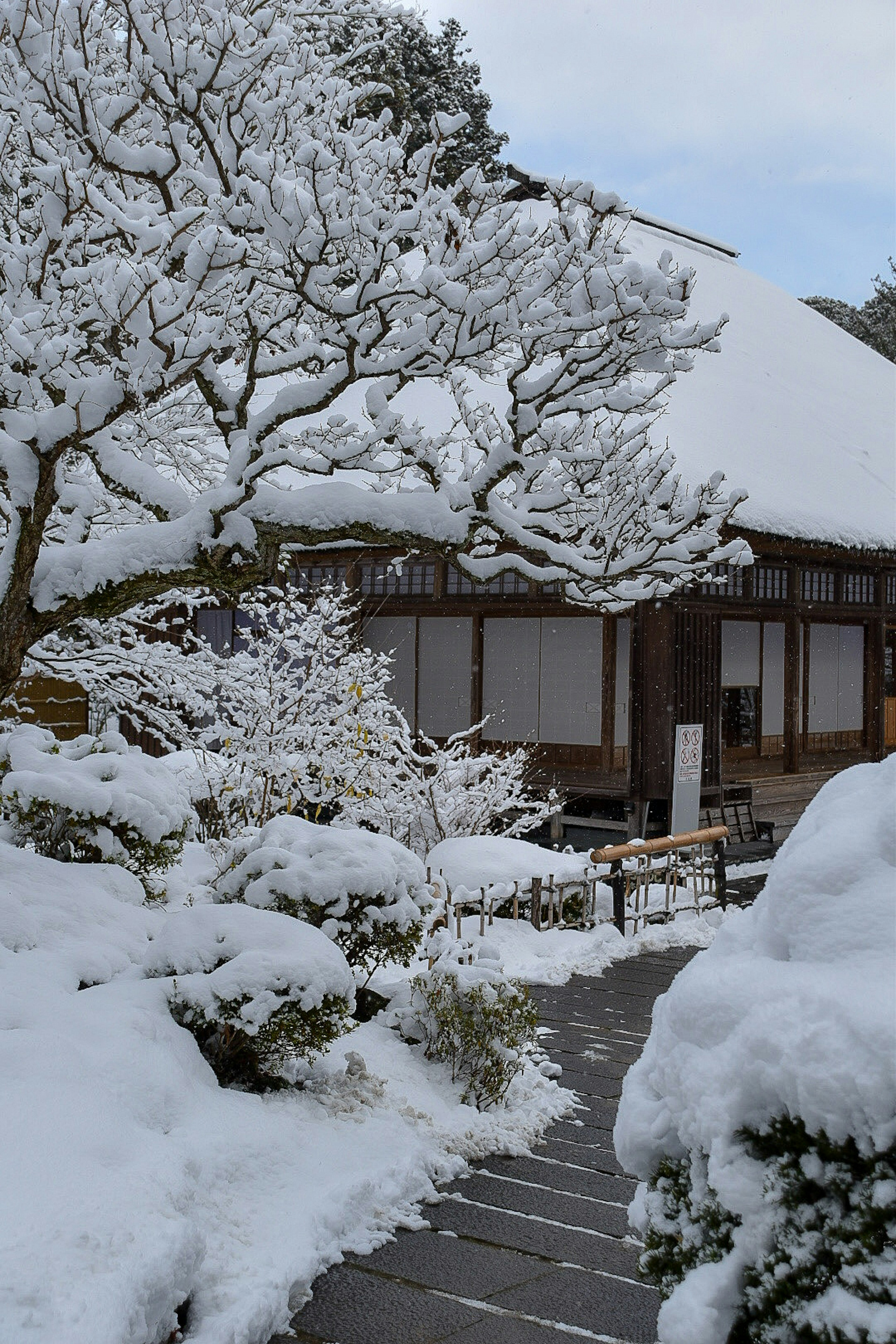 雪に覆われた庭と古い建物の景色