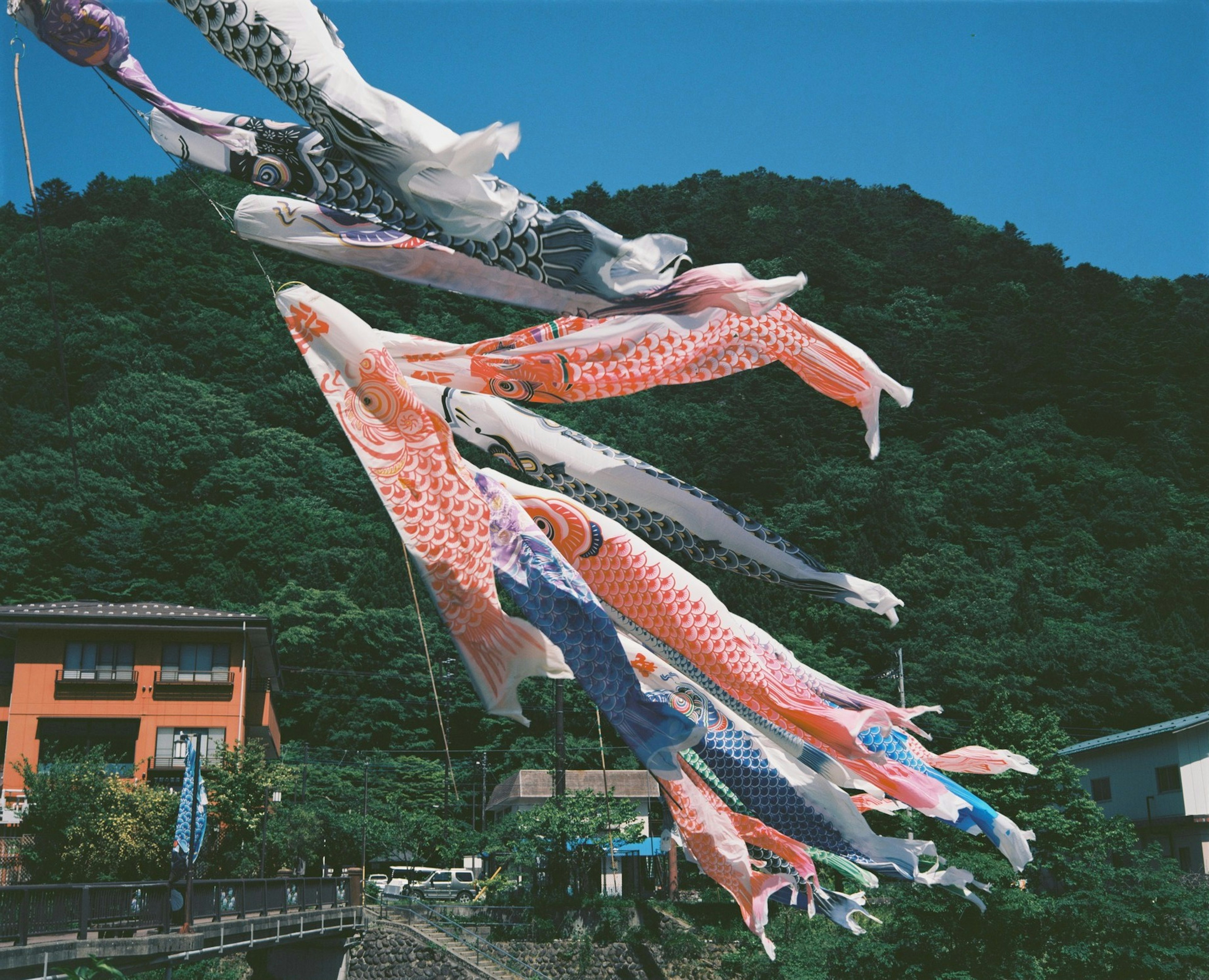 山の背景に鯉のぼりが風になびいている