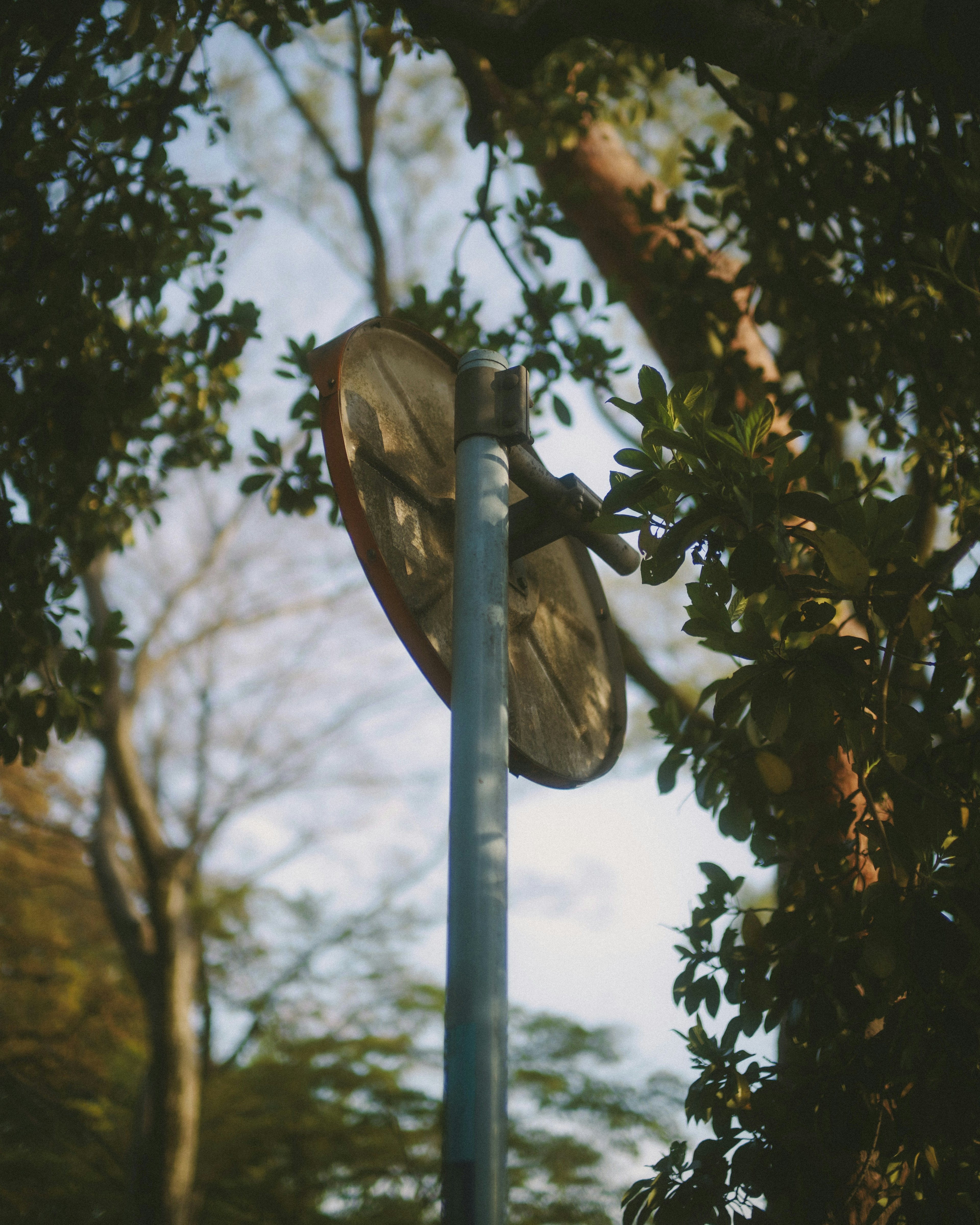 An old fan mounted on a blue pole surrounded by trees