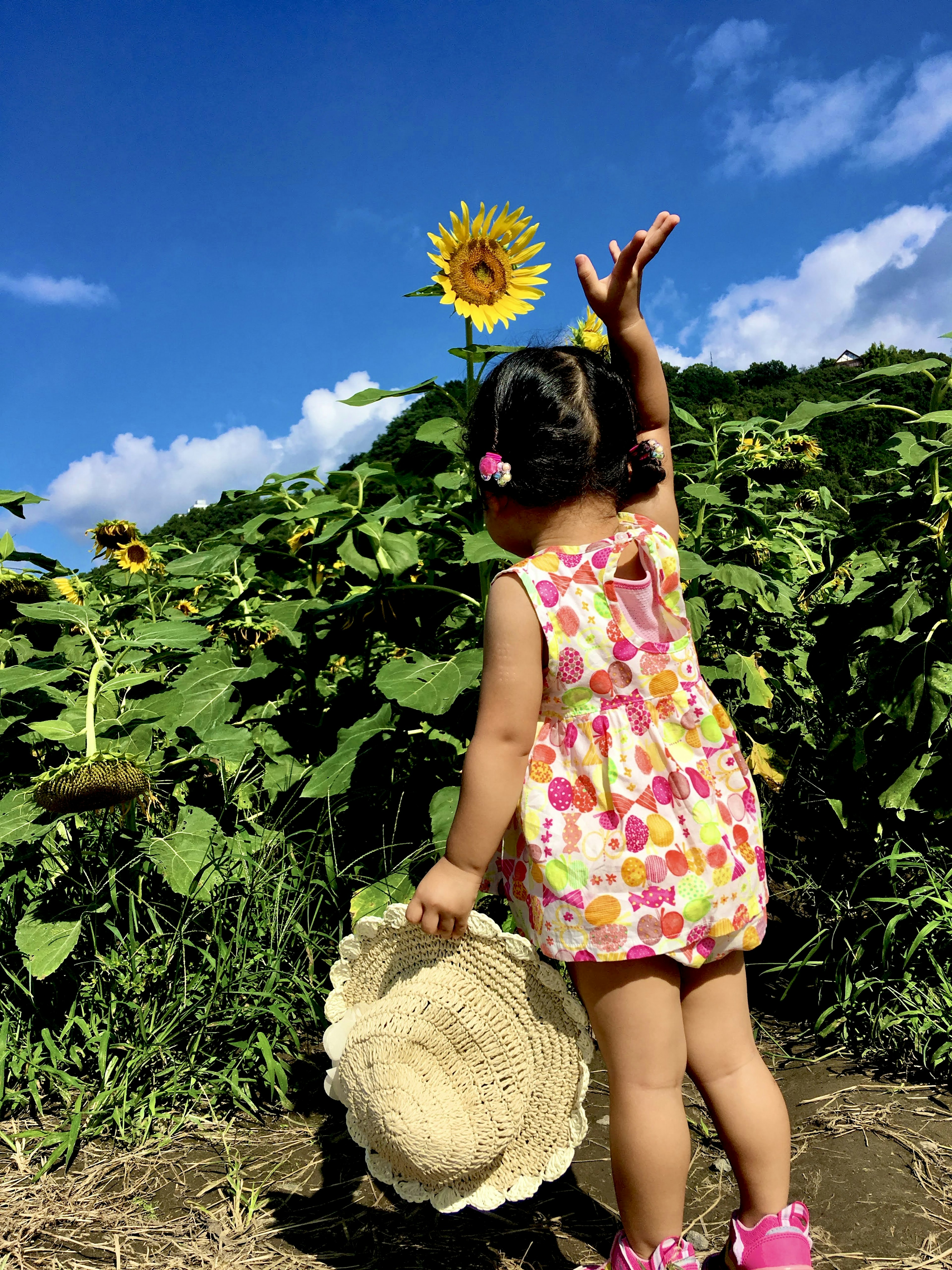 Niña levantando la mano frente a un girasol