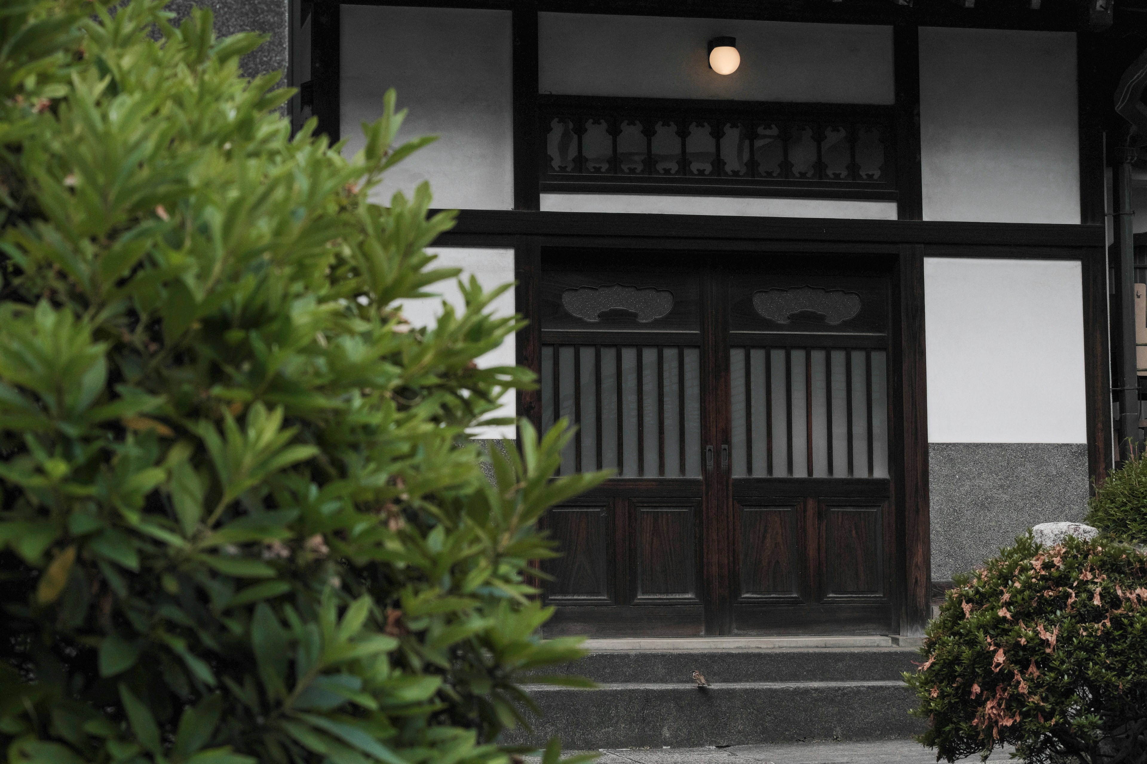 Eingang eines traditionellen japanischen Hauses mit Grünpflanzen an den Seiten