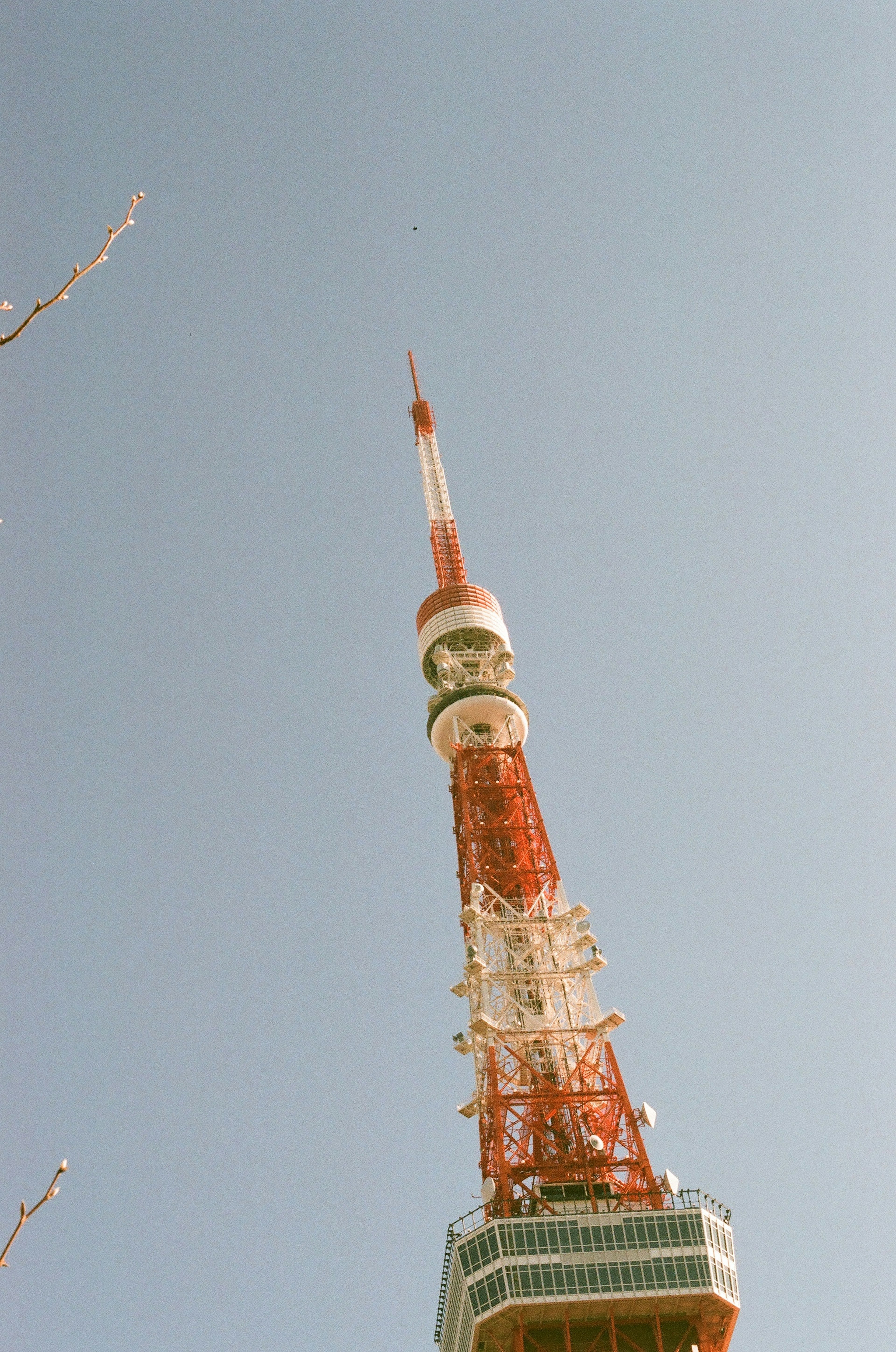 東京タワーの上部を見上げた写真青空の下で赤と白の色合い