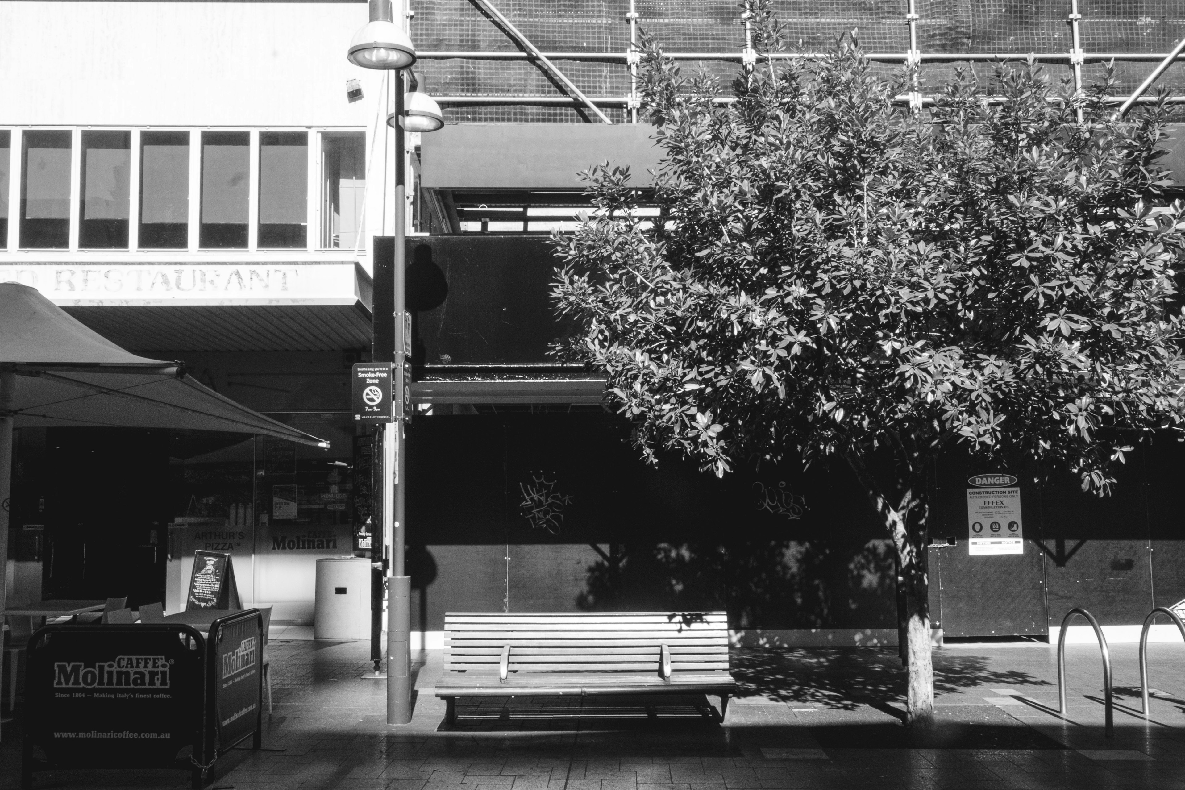 Scena di strada in bianco e nero con una panchina e un albero con parte di un edificio visibile