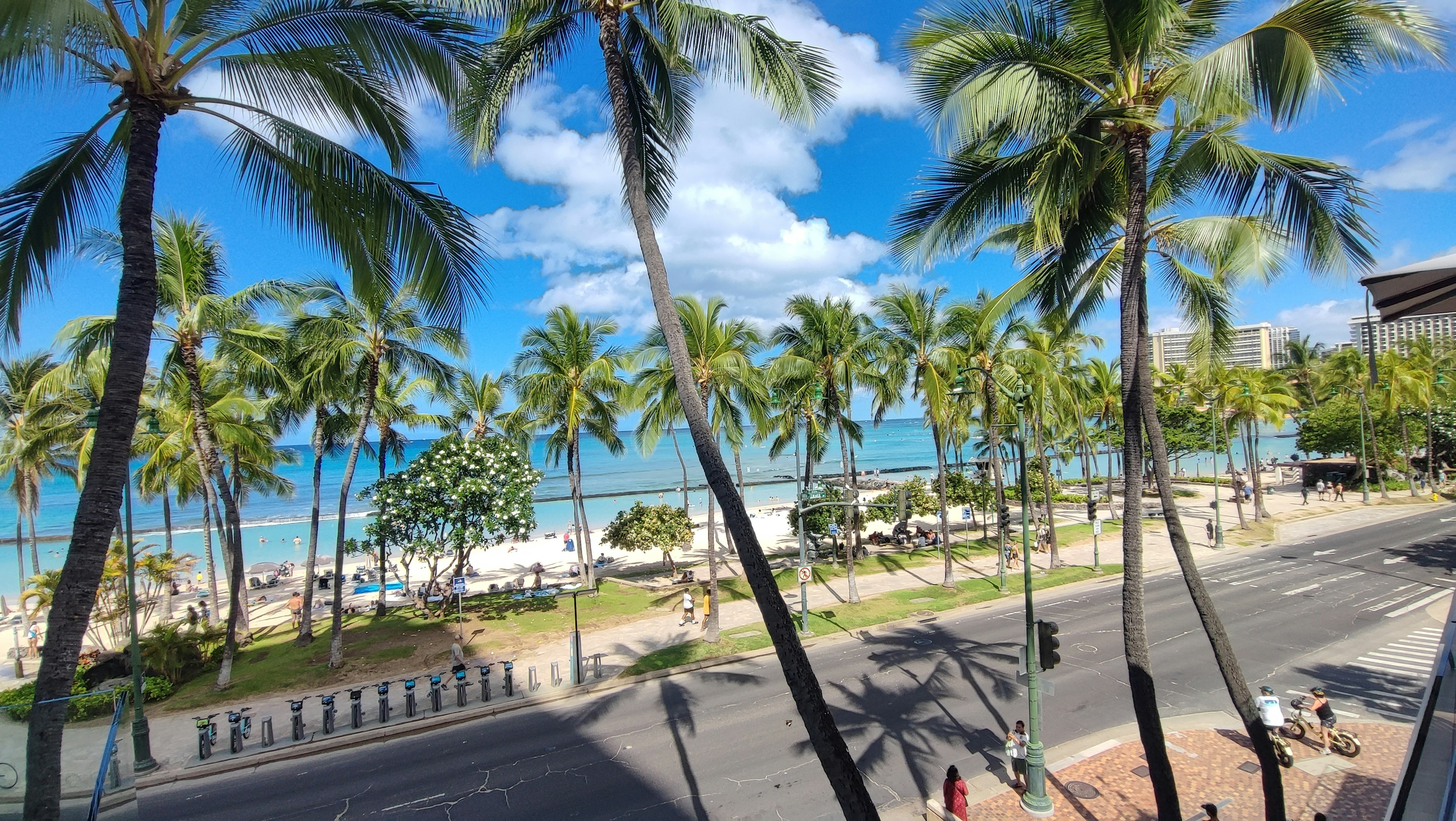 Vista panoramica di una spiaggia con palme e cielo blu