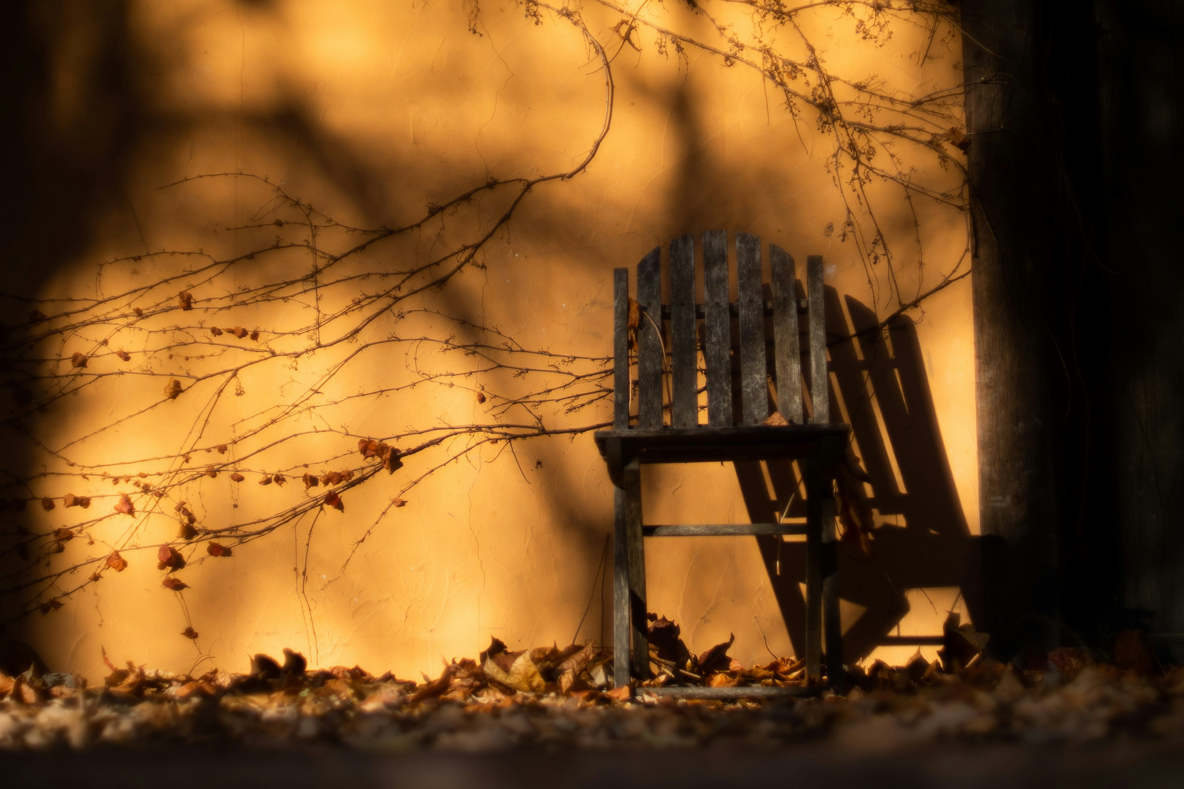 A wooden chair in an autumn park with fallen leaves and soft lighting