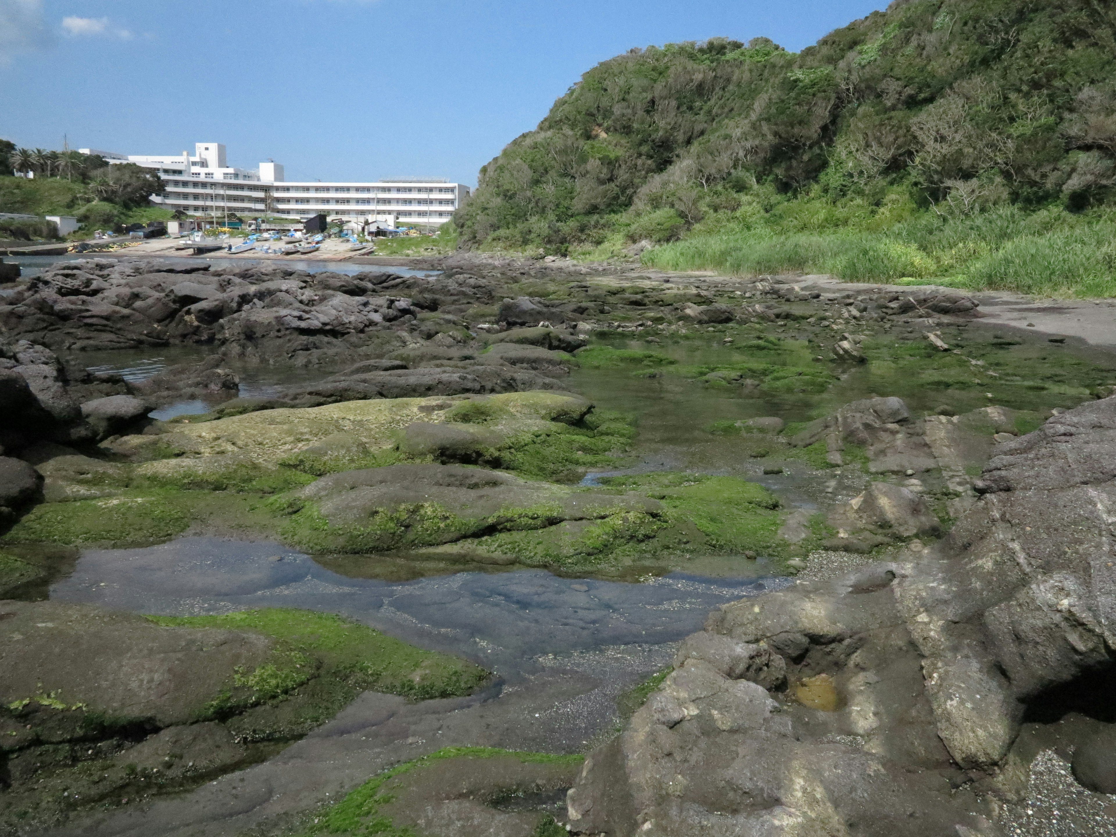 Pemandangan genangan pasang dengan batu dan rumput laut di bawah langit biru