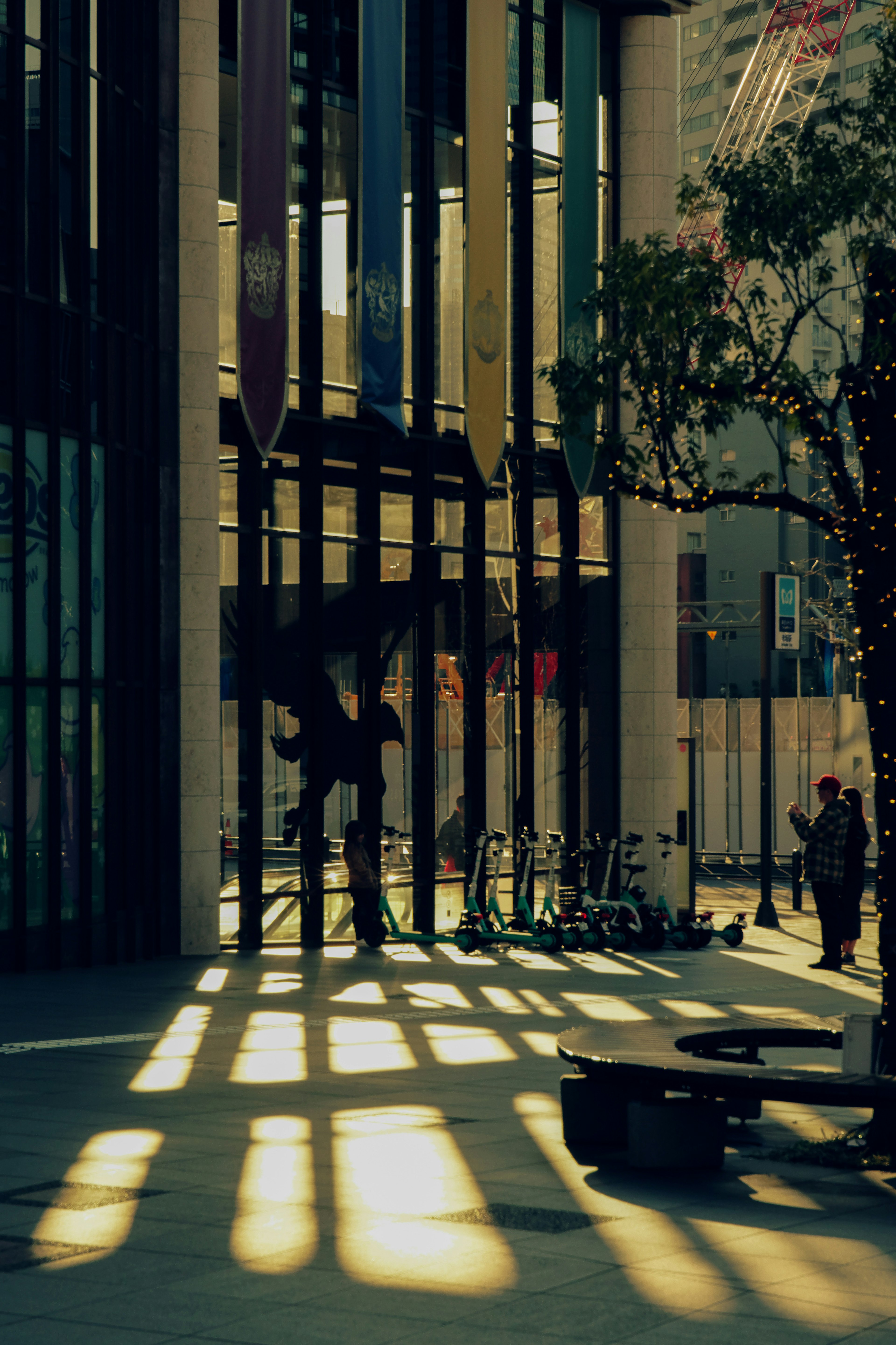 Urban scene at dusk with long shadows and contrasting windows and trees