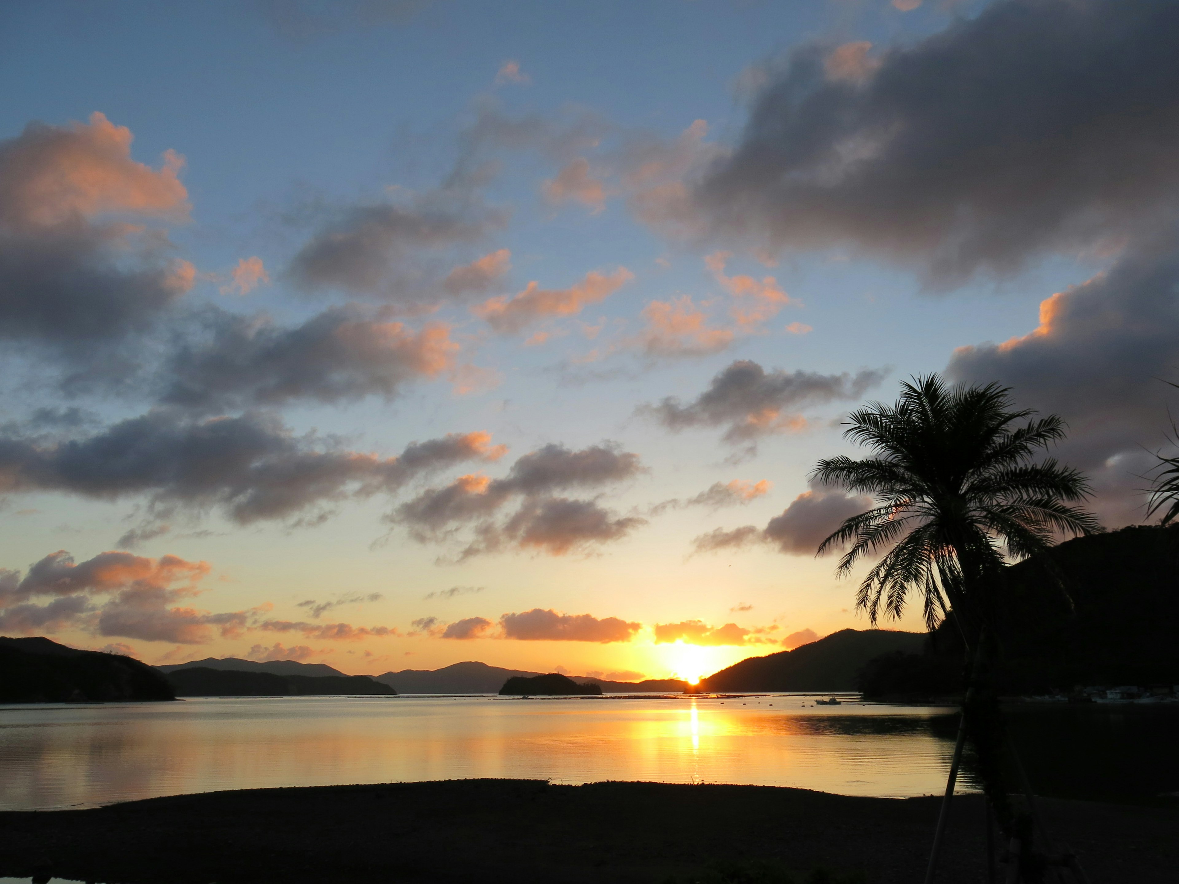 Bellissimo tramonto sul mare con una palma e nuvole vivaci