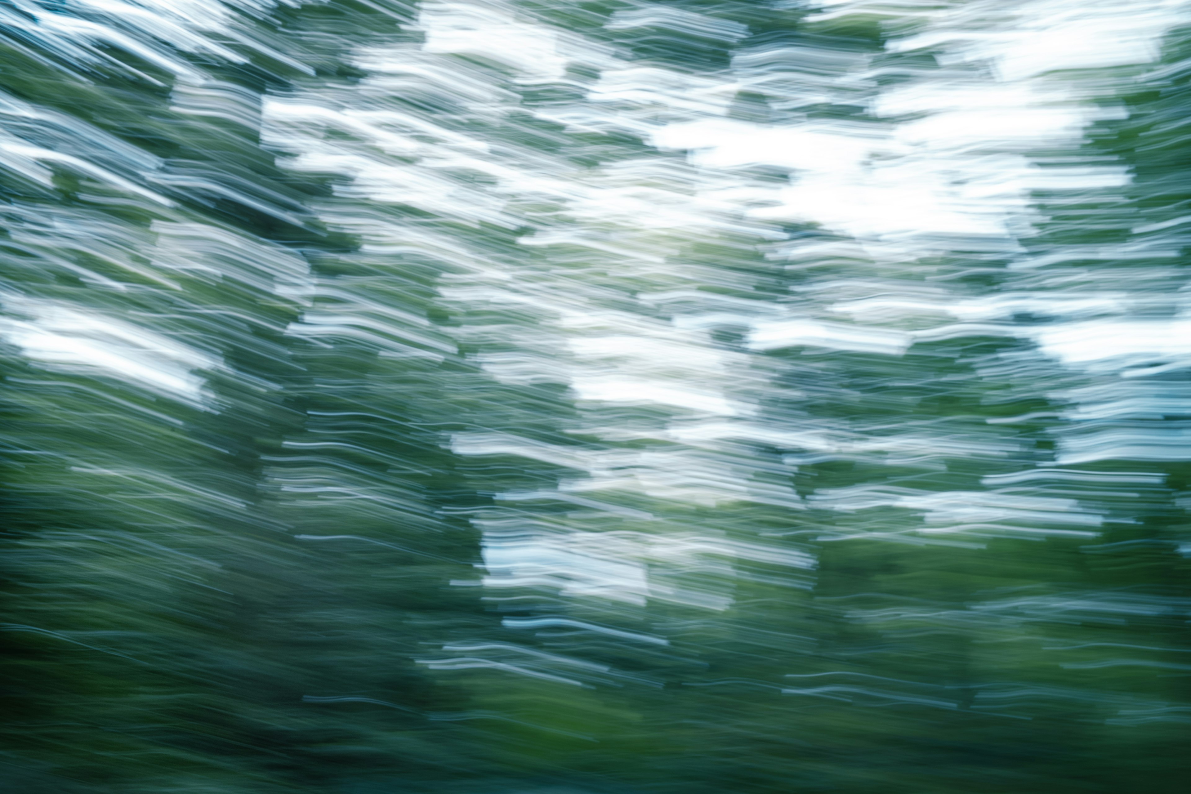 Imagen borrosa de árboles verdes con un tono azul