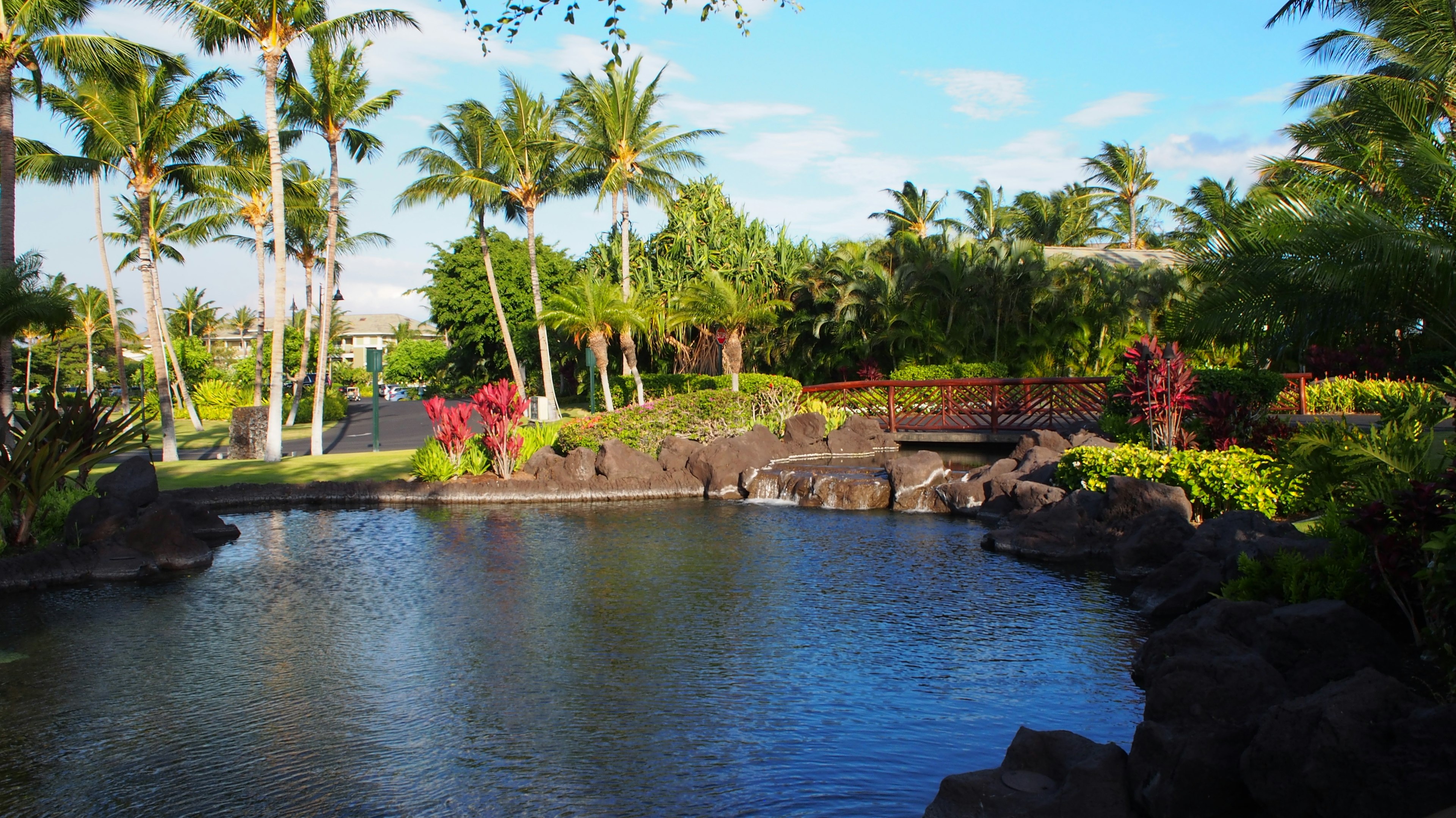 Paisaje tropical con un estanque sereno rodeado de palmeras y flores vibrantes