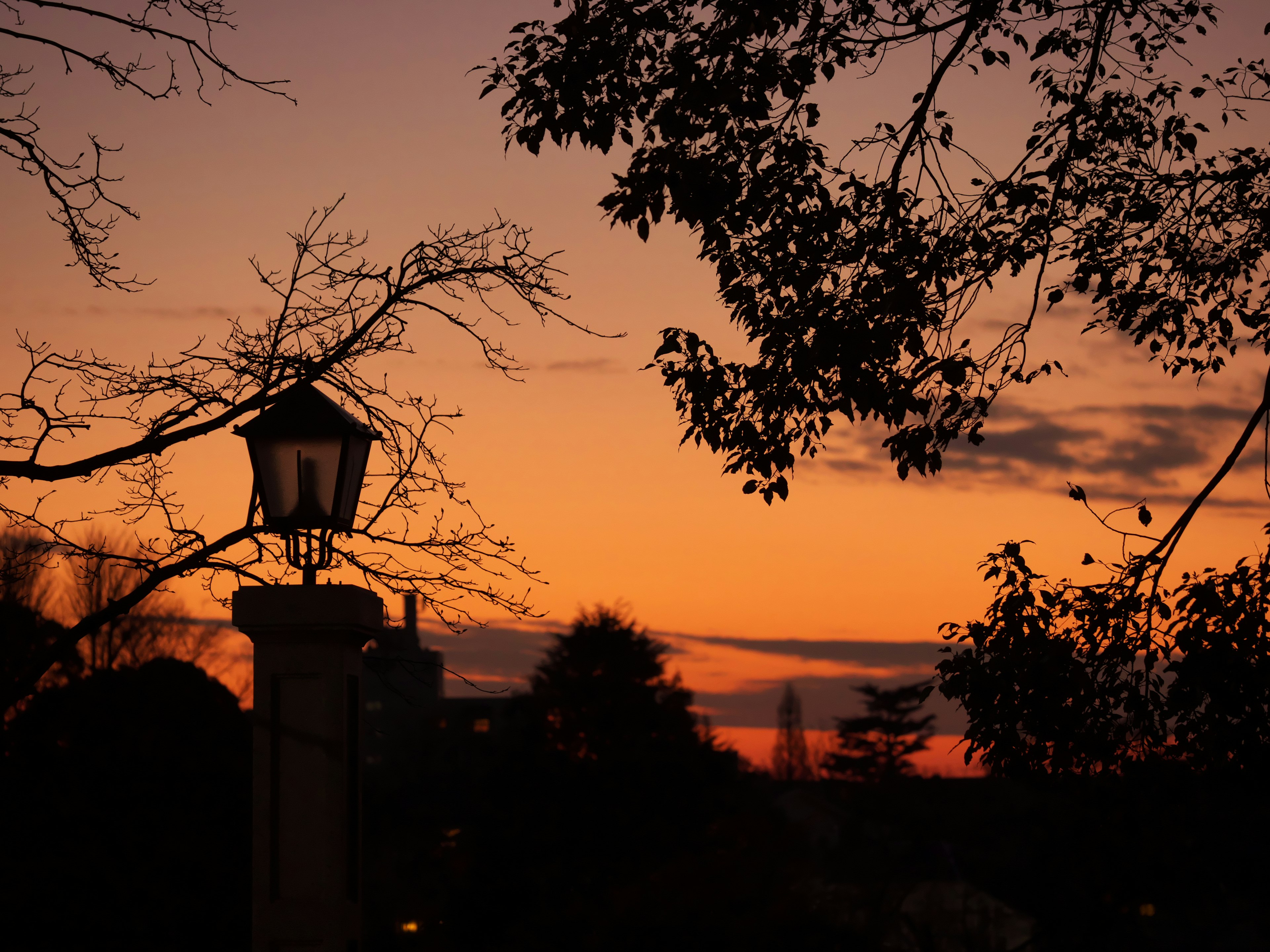 Silhouette einer Laterne vor einem Sonnenuntergangshimmel mit Bäumen