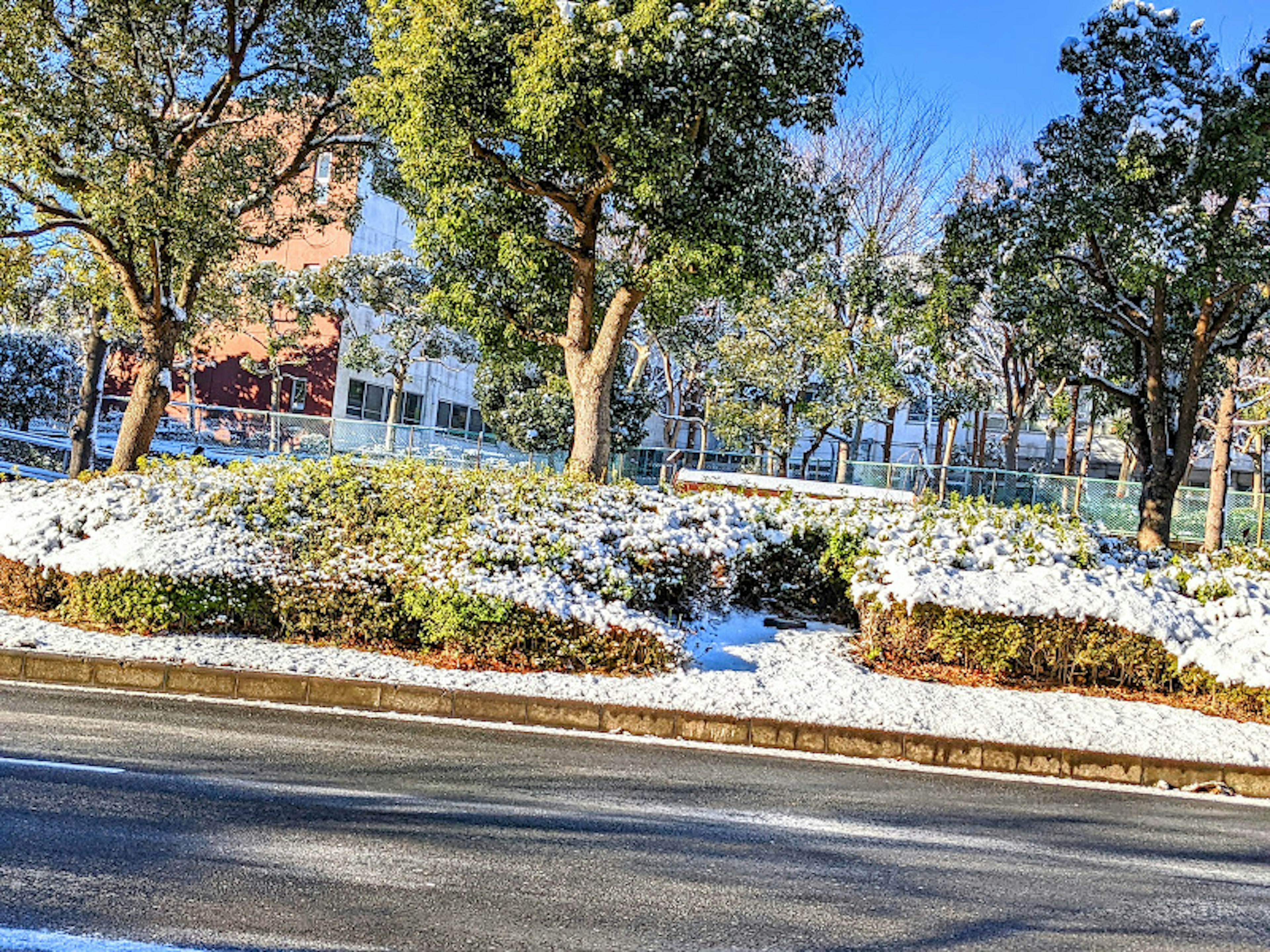 Park landscape covered in snow with clear blue sky