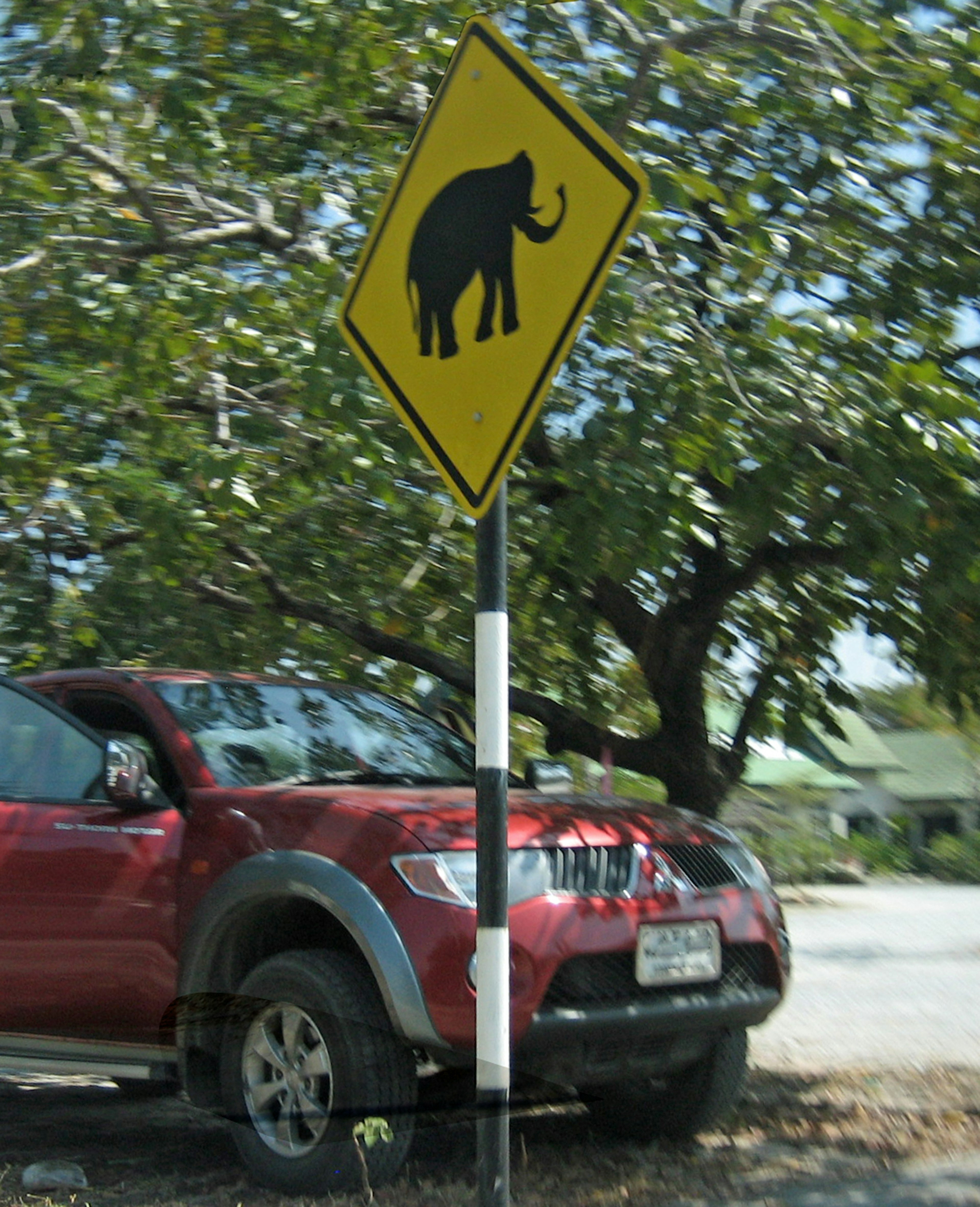 Tanda peringatan gajah kuning di samping kendaraan merah