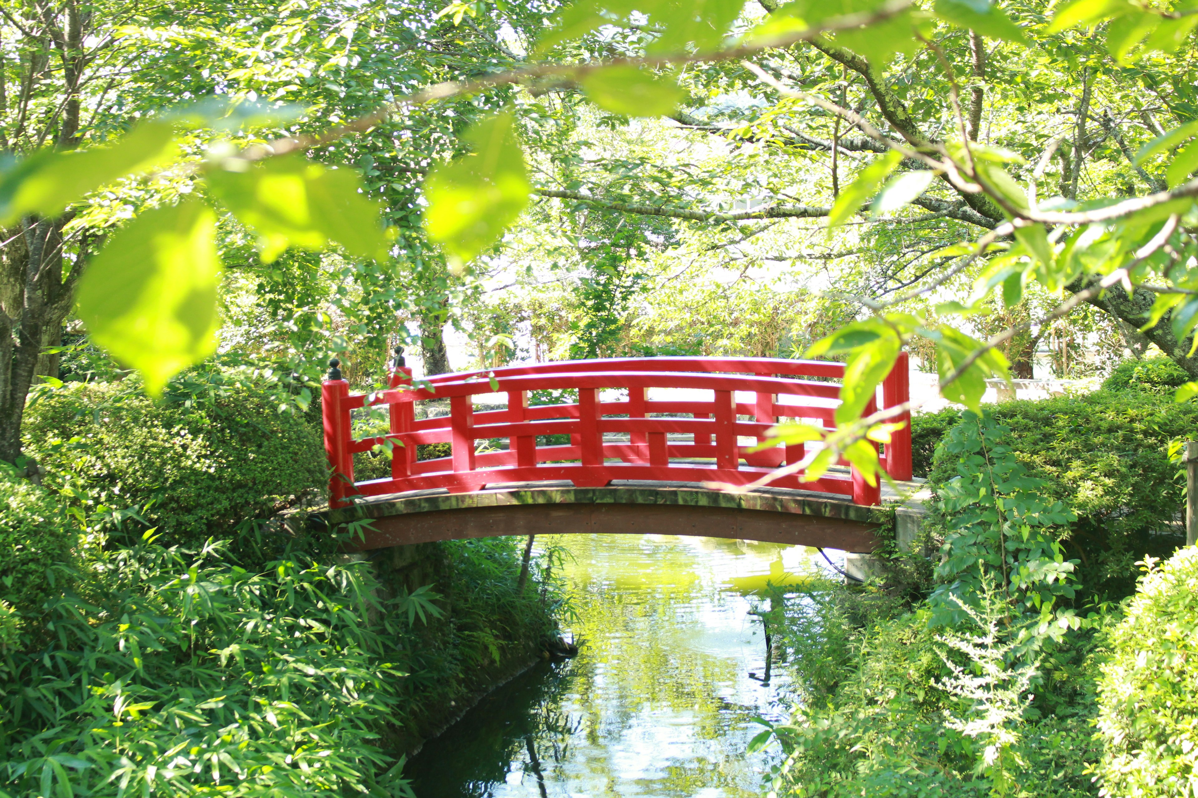 A beautiful scene of a red bridge crossing a stream surrounded by greenery