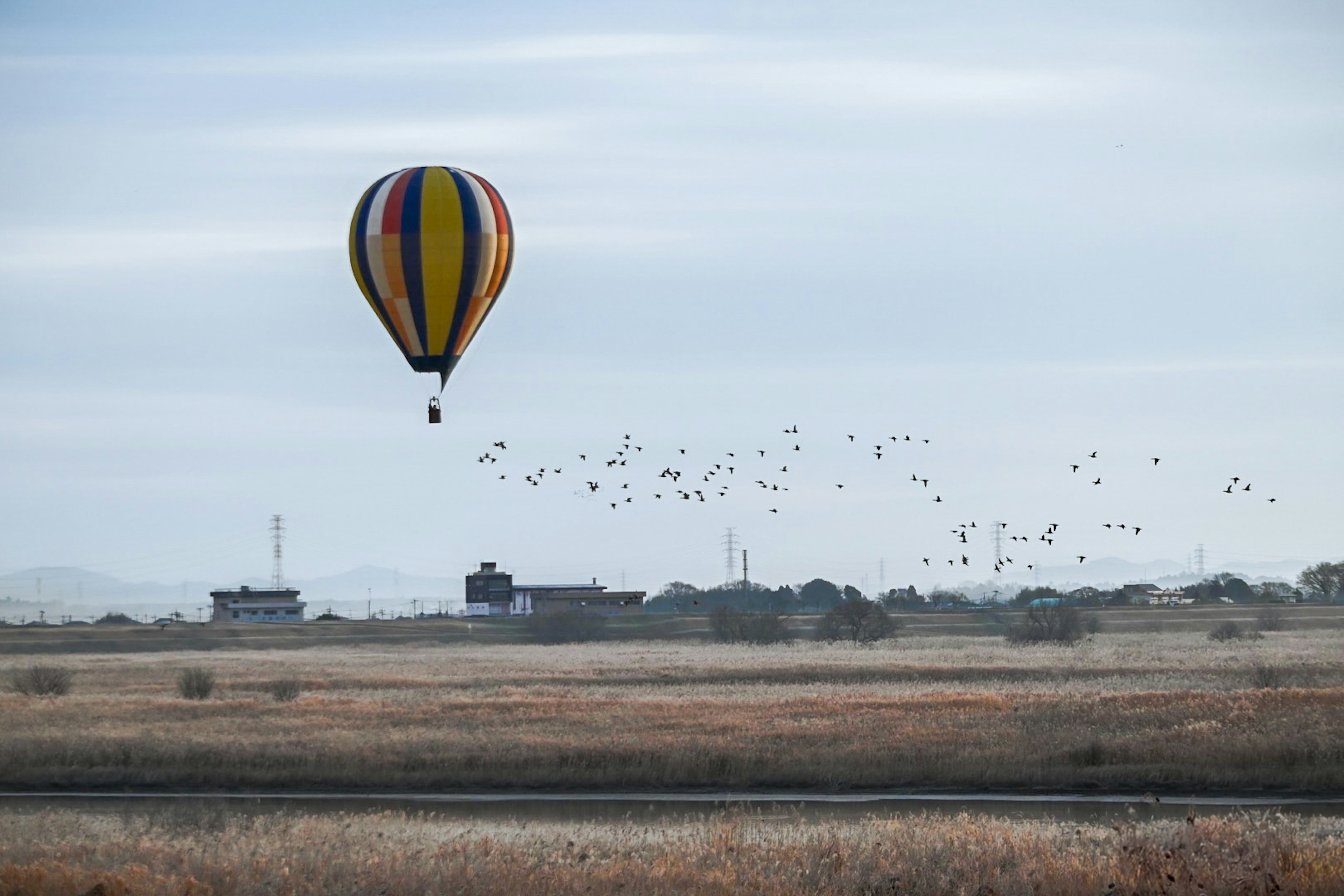 カラフルな熱気球が空を飛び、背景には家々と鳥の群れが見える風景