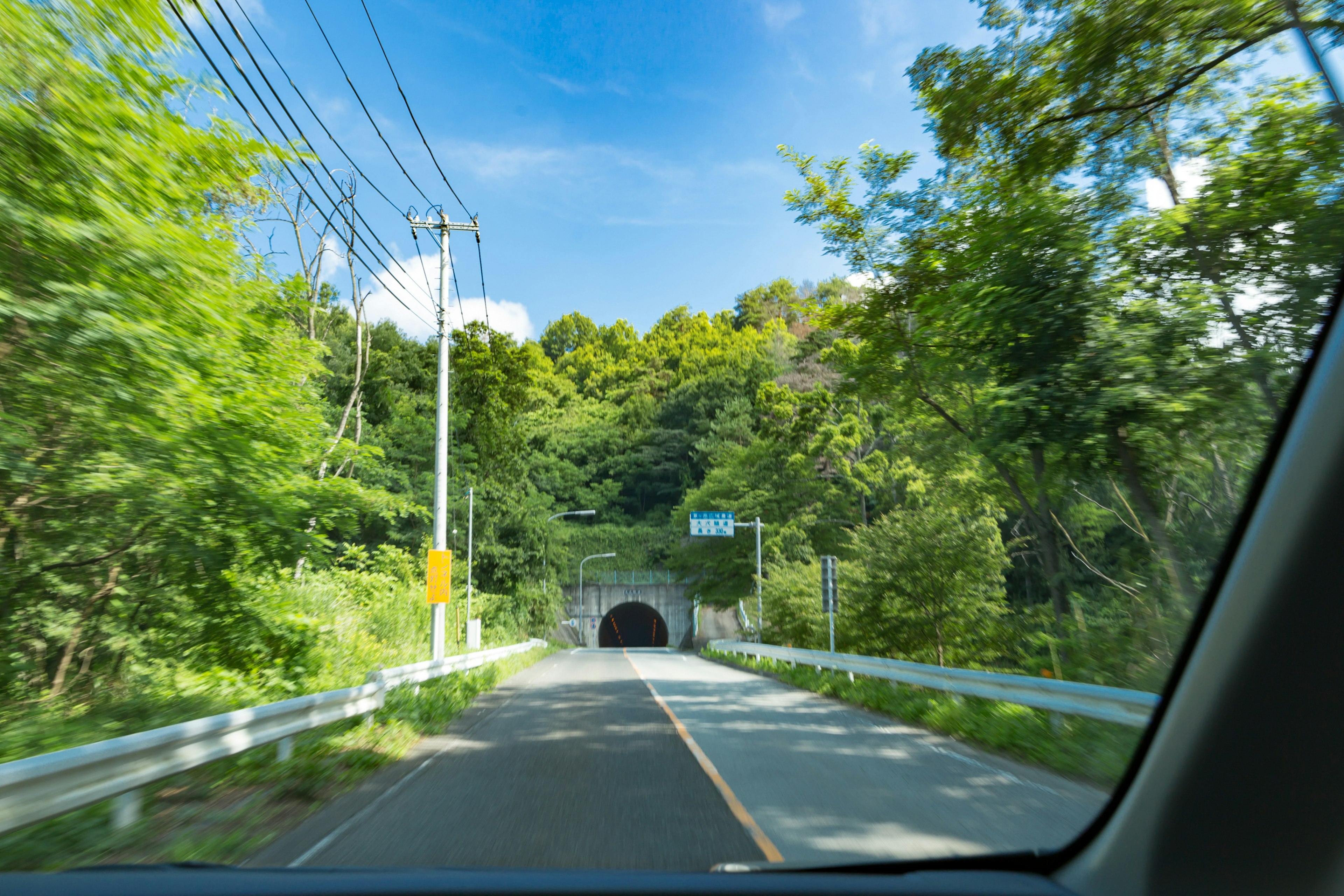 Straße, die zu einem Tunnel führt, umgeben von Grün