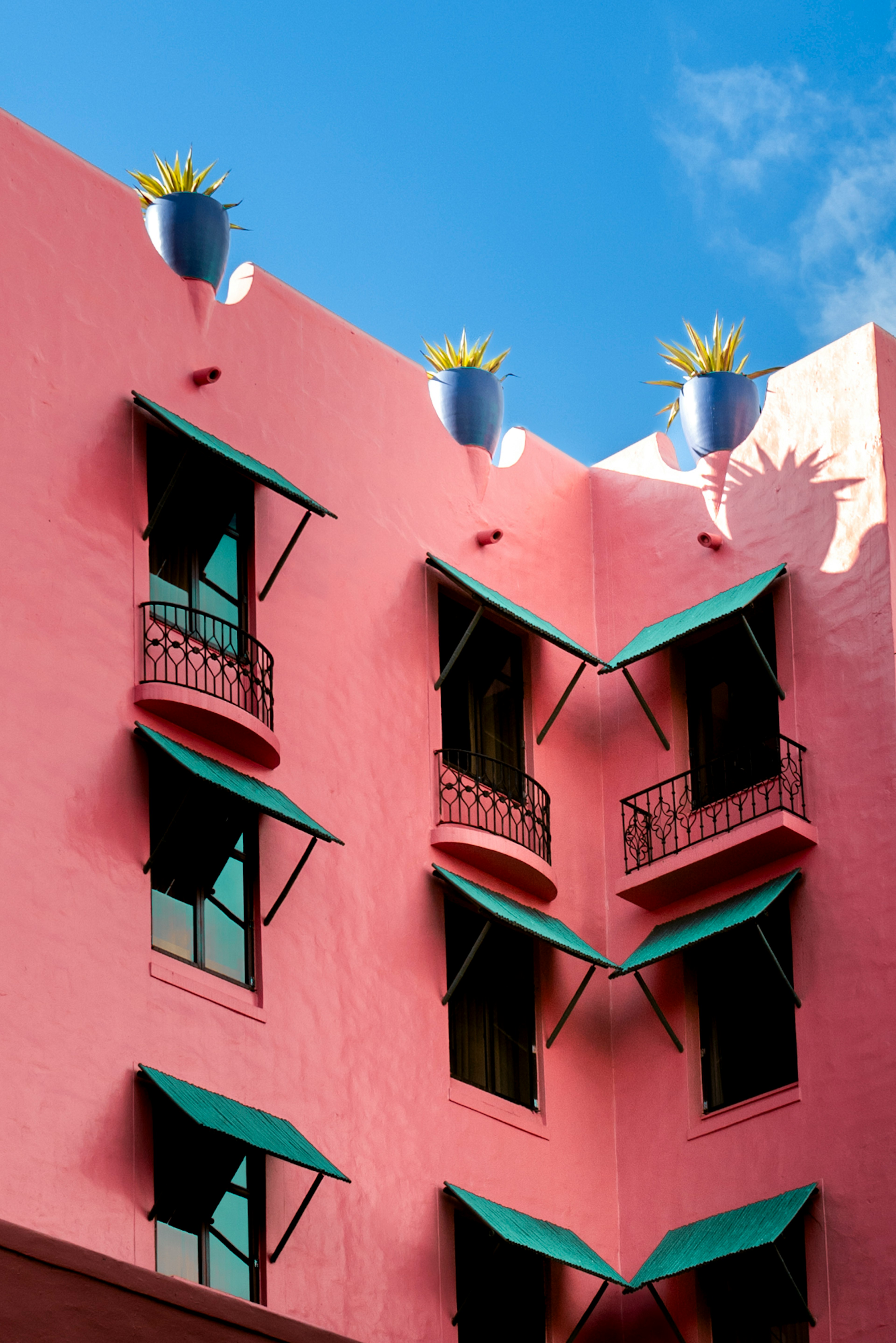 Pink building with green awnings and potted plants on the roof