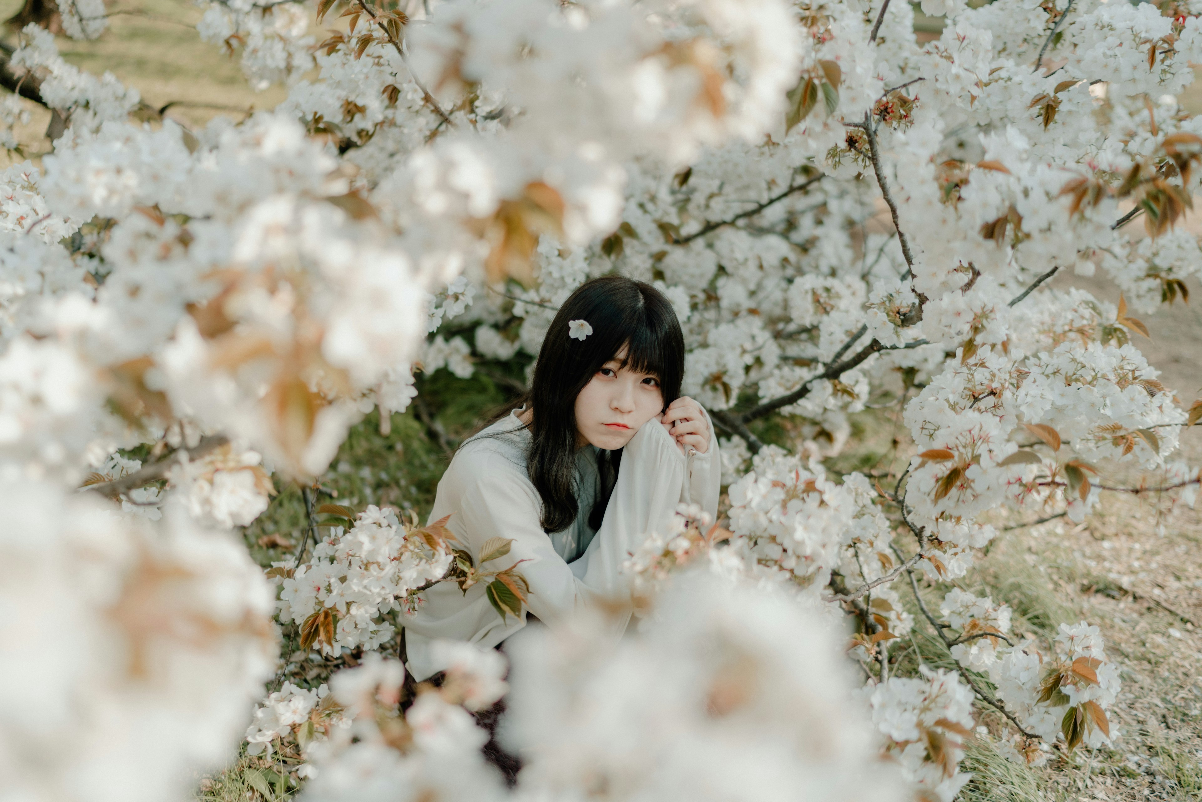 Une femme assise parmi des fleurs blanches