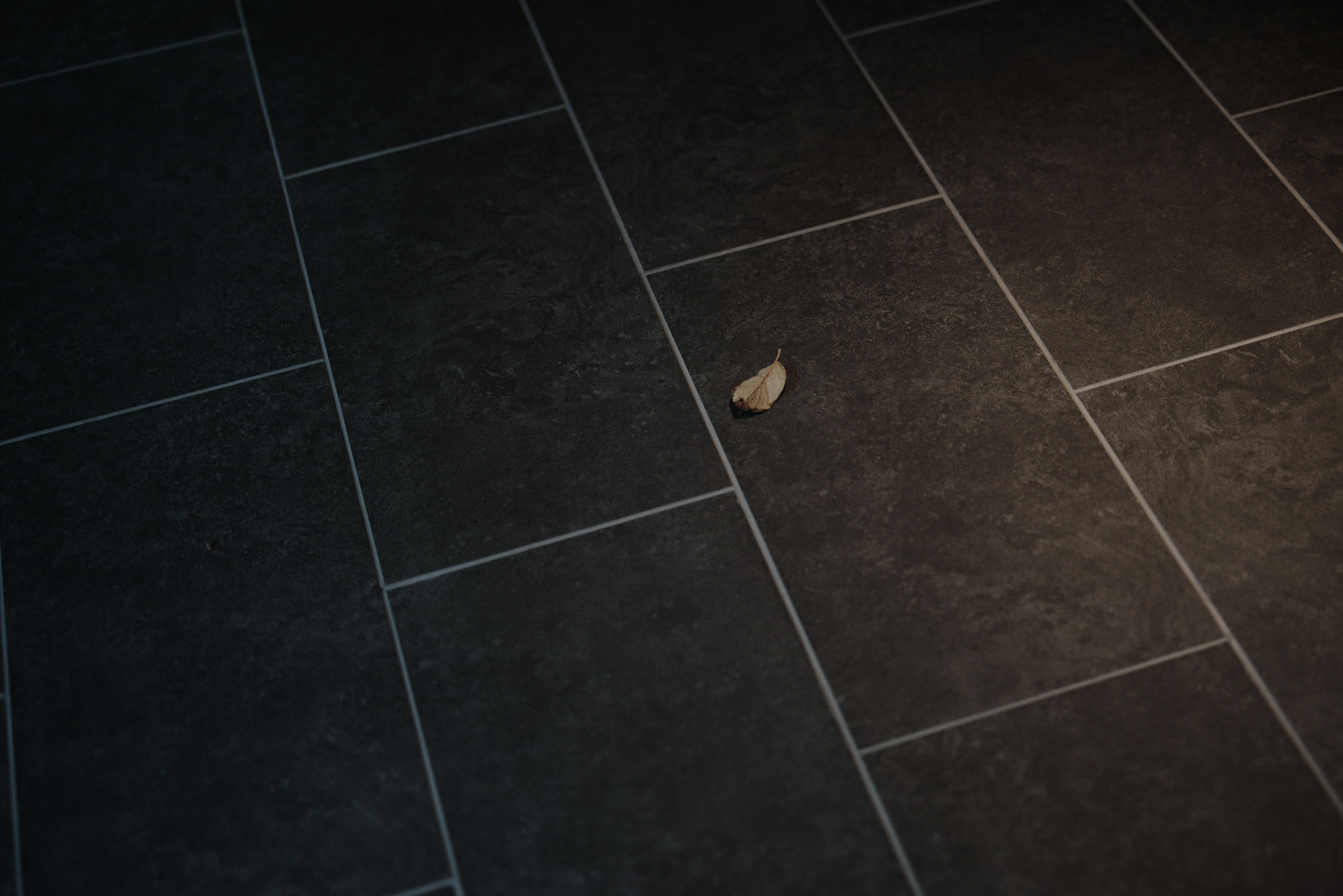 Small object on dark tiled floor