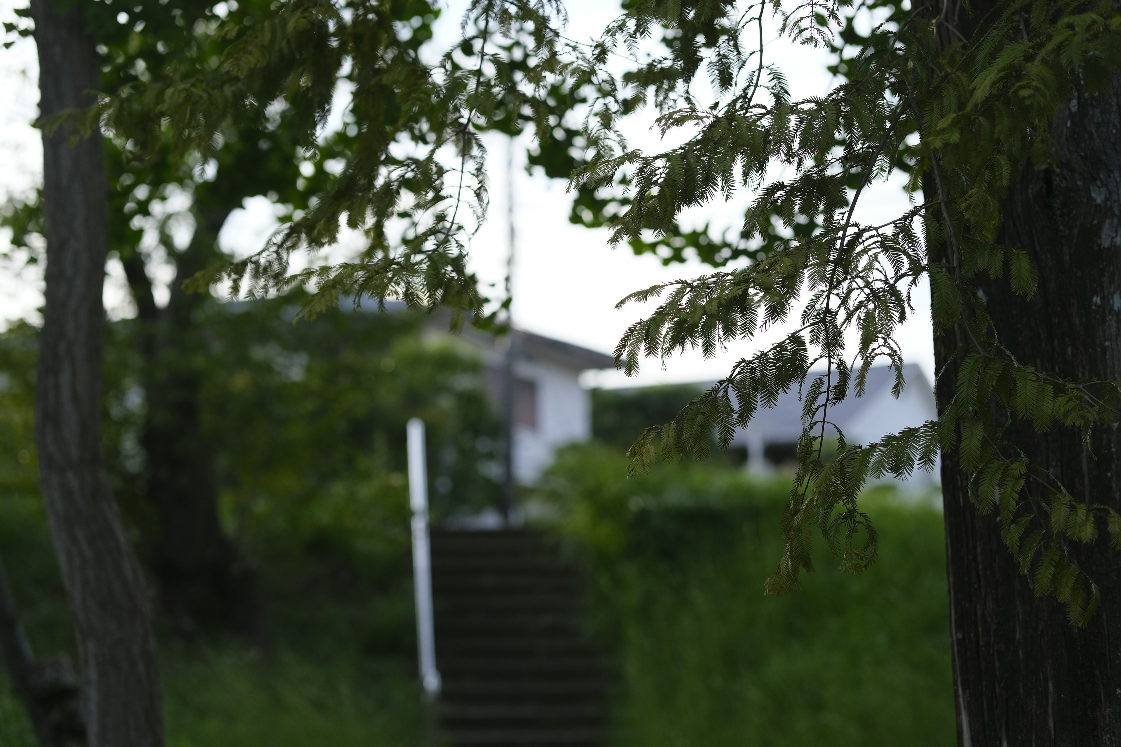 Une partie d'une maison avec des escaliers entourée d'arbres verts