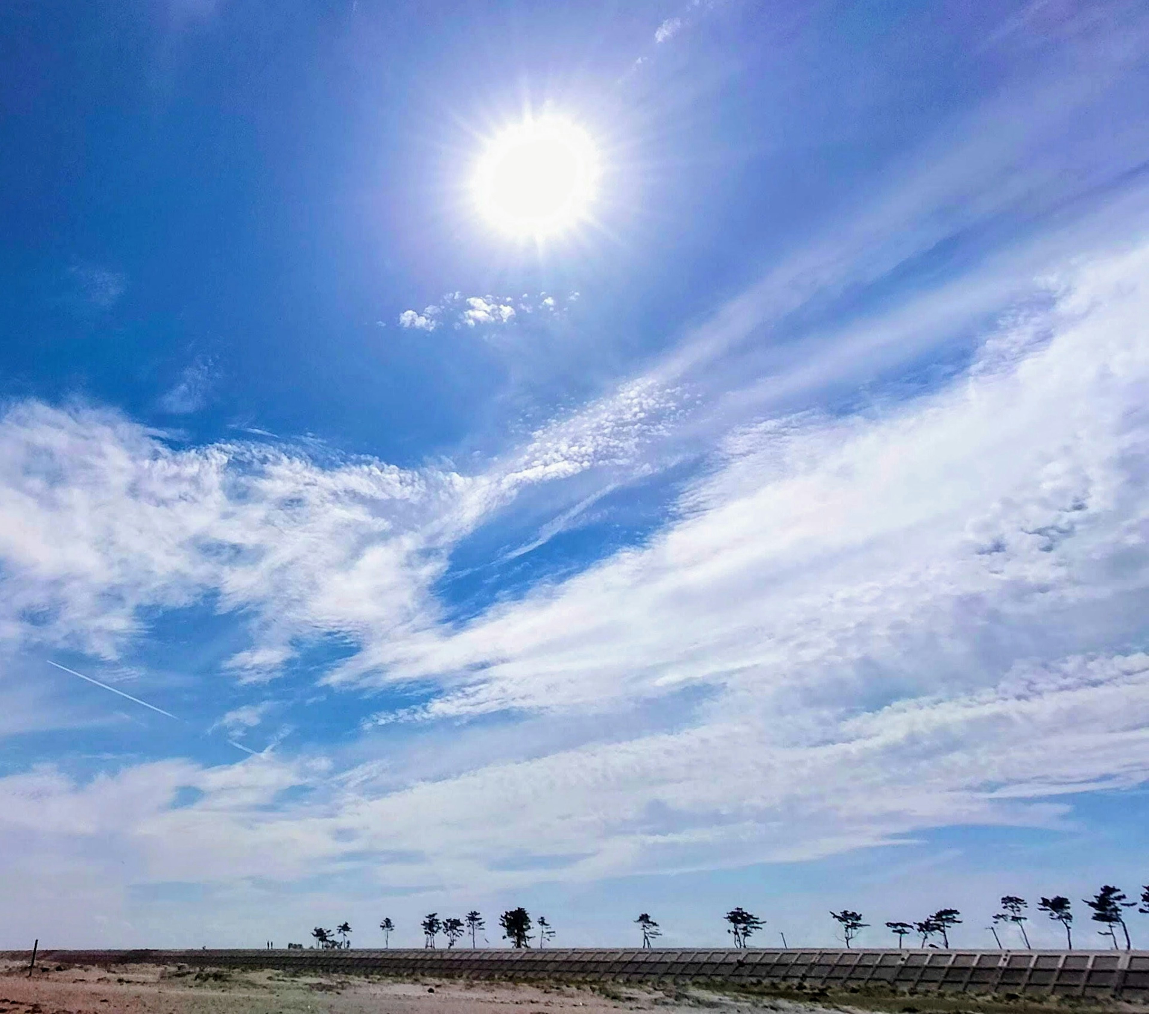 Matahari cerah di langit biru jernih dengan awan tipis dan pohon-pohon di kejauhan